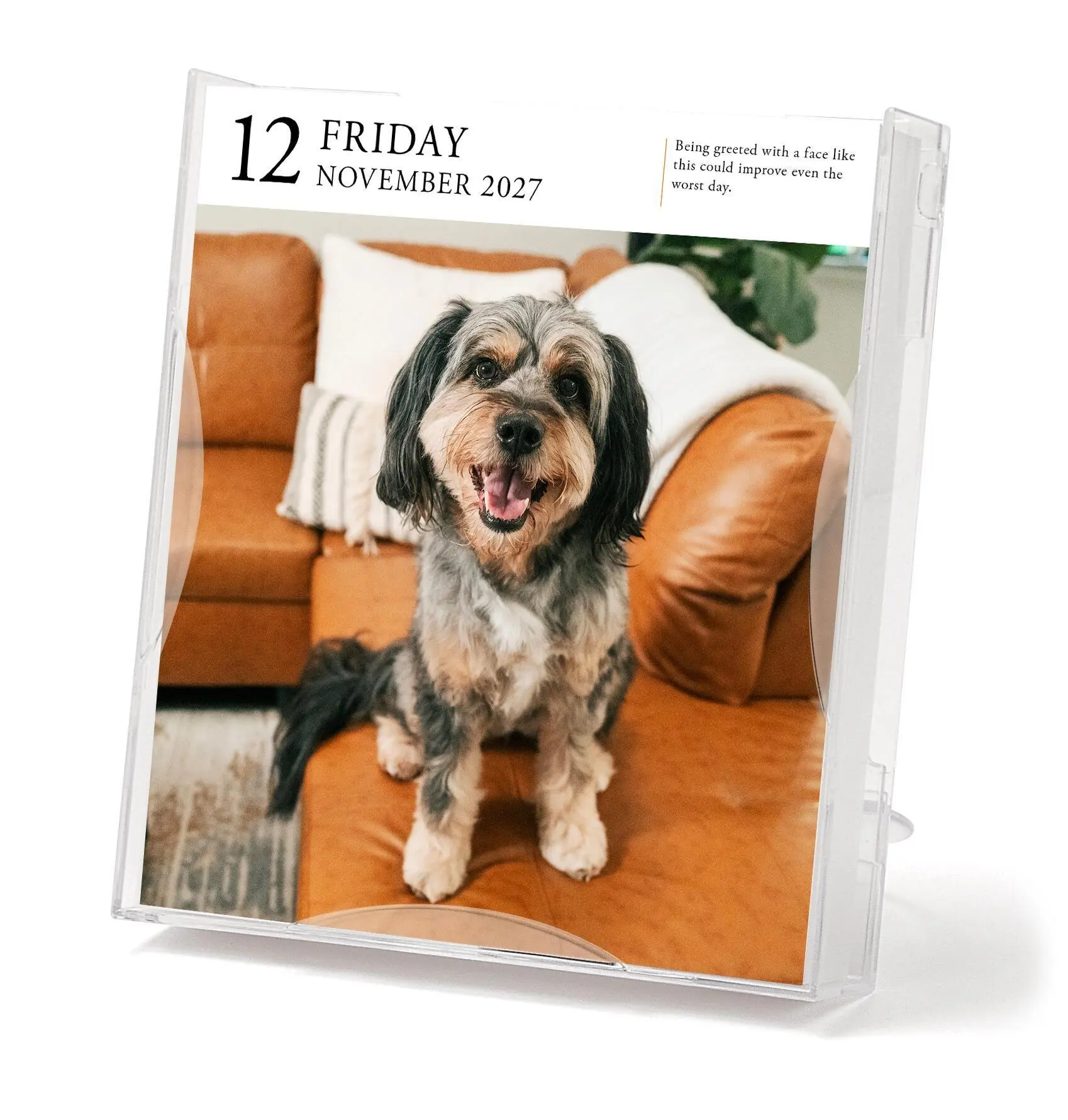 Bild: 9781523533336 | Dog Page-A-Day® Gallery Calendar 2027 | An Elegant Canine Celebration