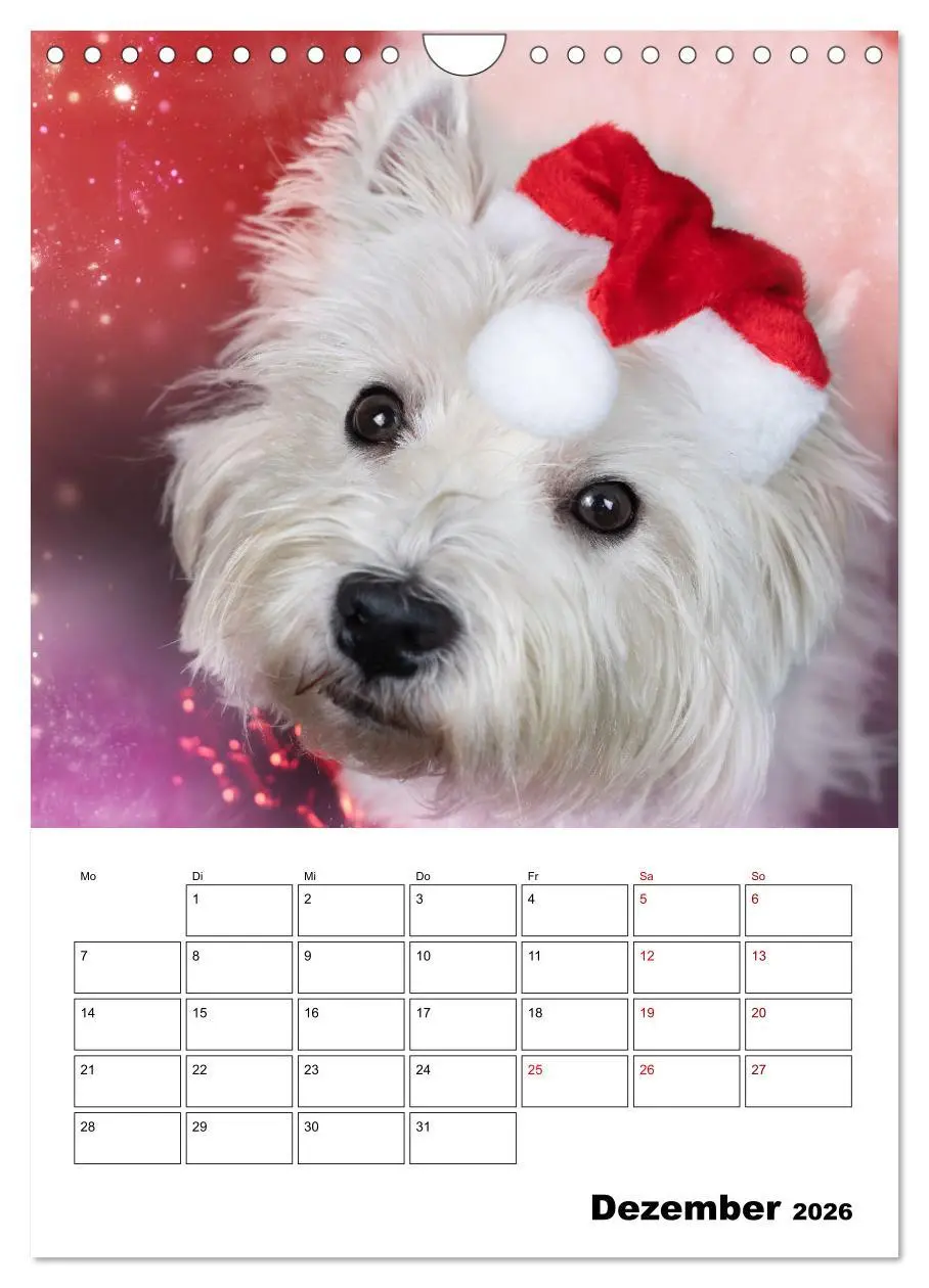 Bild: 9783516333336 | West Highland White Terrier - Herzensbrecher auf vier Pfoten...