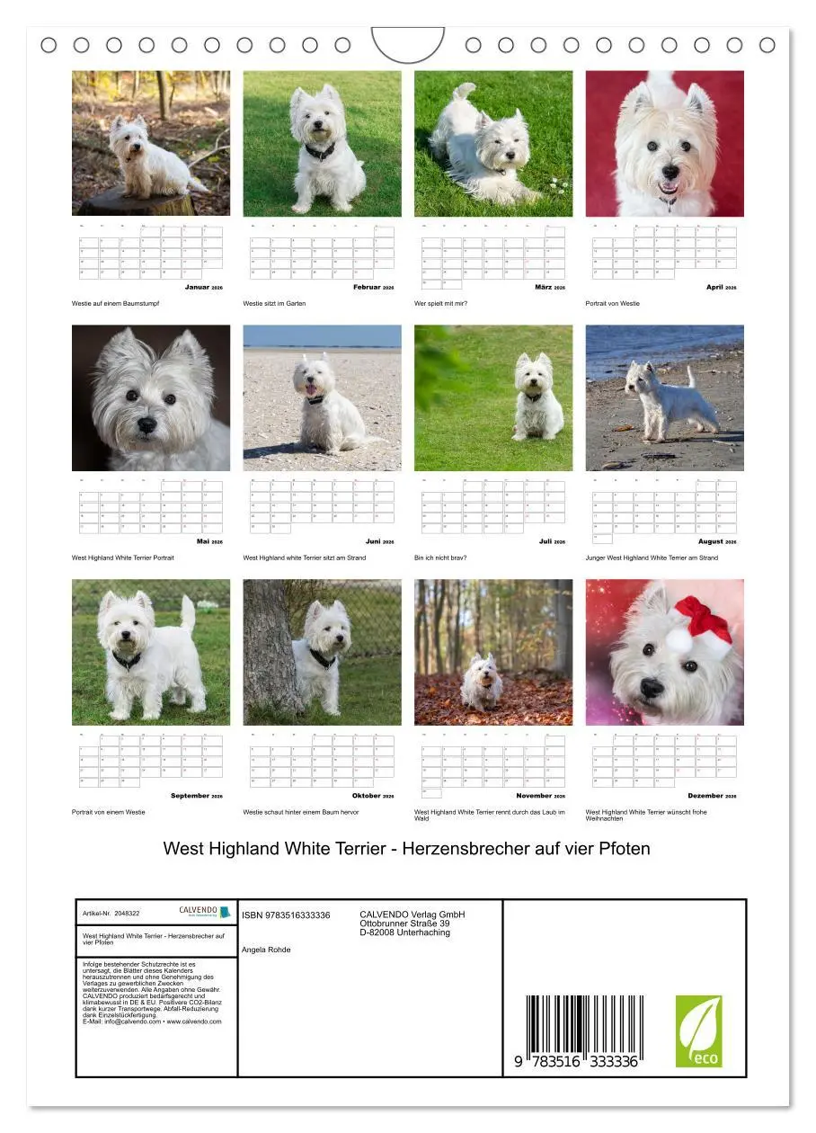 Bild: 9783516333336 | West Highland White Terrier - Herzensbrecher auf vier Pfoten...
