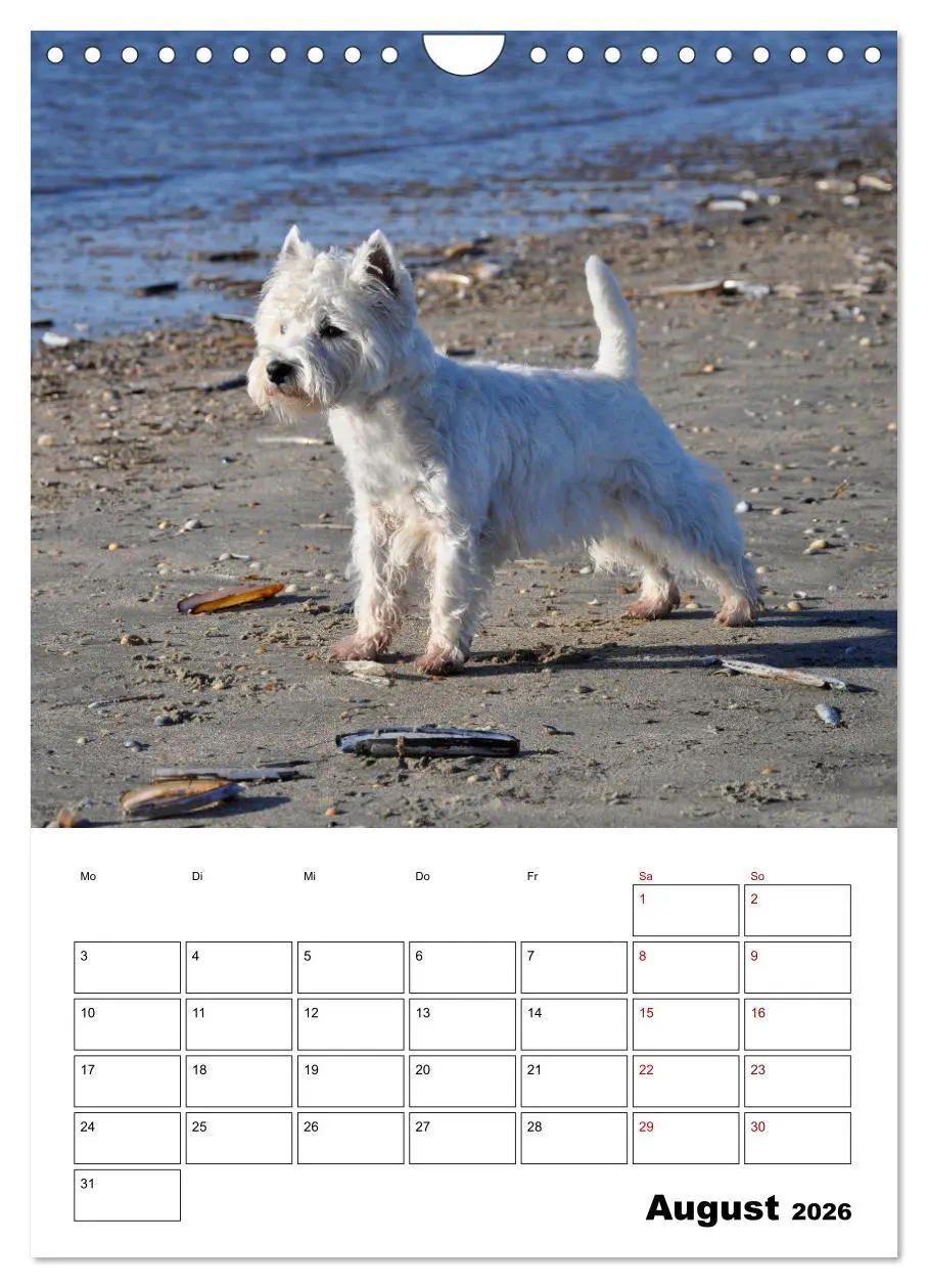 Bild: 9783516333336 | West Highland White Terrier - Herzensbrecher auf vier Pfoten...