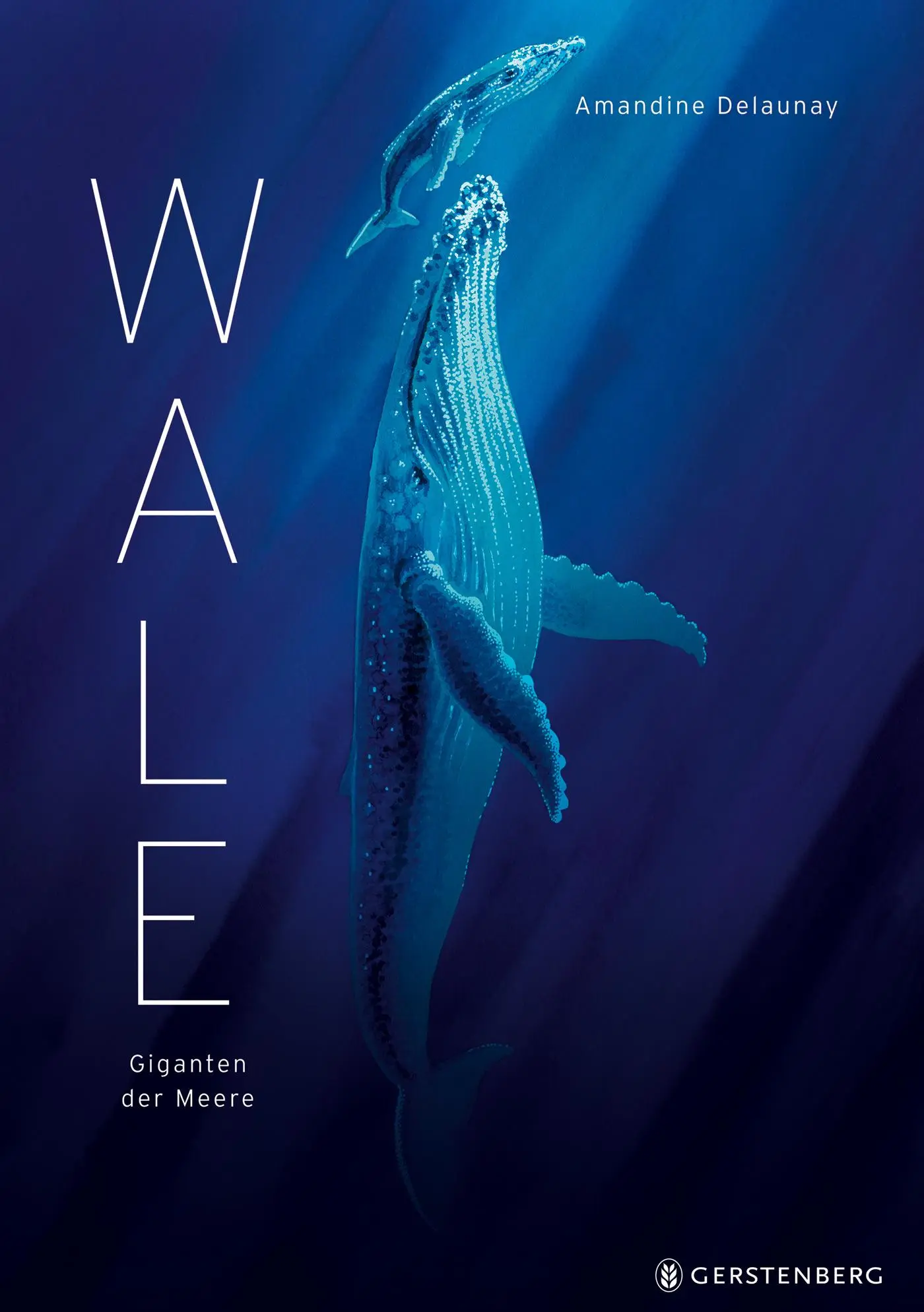 Cover: 9783836963336 | Wale | Giganten der Meere | Amandine Delaunay | Buch | 48 S. | Deutsch