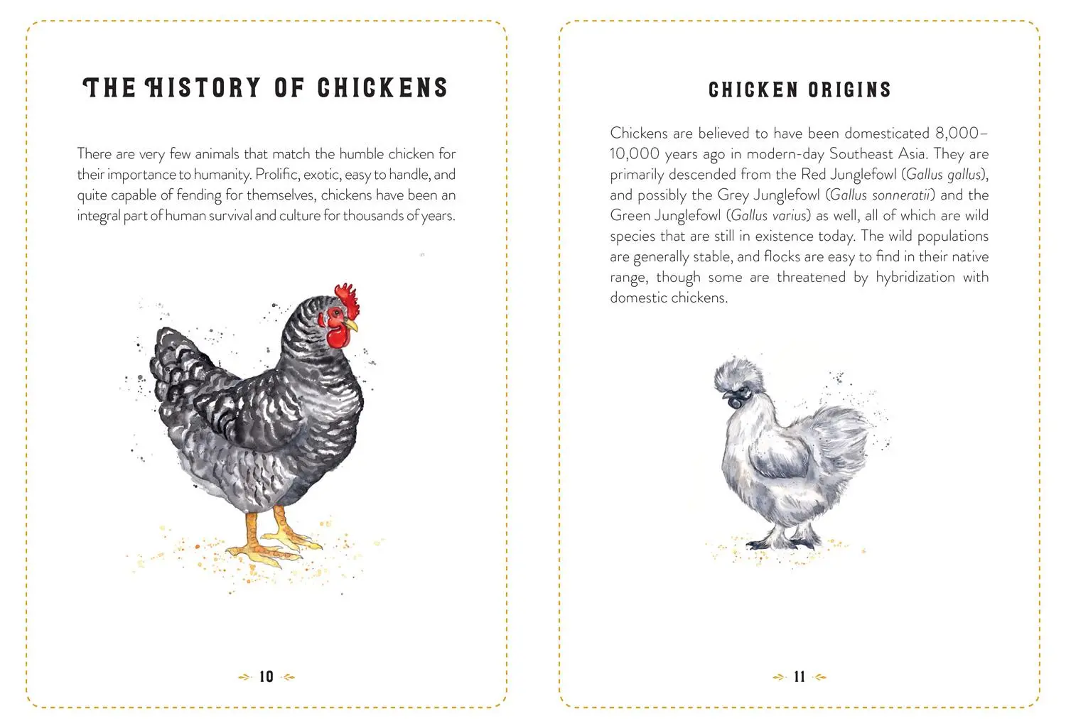 Bild: 9780008753436 | The Little Book of Chickens | Jessica Ford | Buch | Englisch | 2025