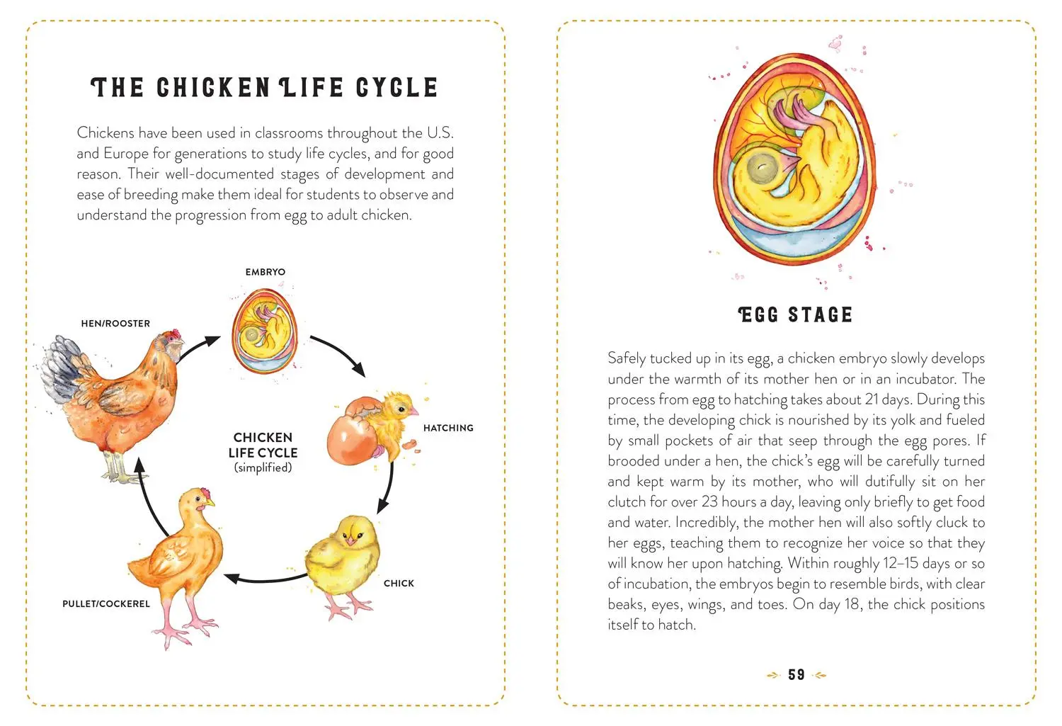 Bild: 9780008753436 | The Little Book of Chickens | Jessica Ford | Buch | Englisch | 2025