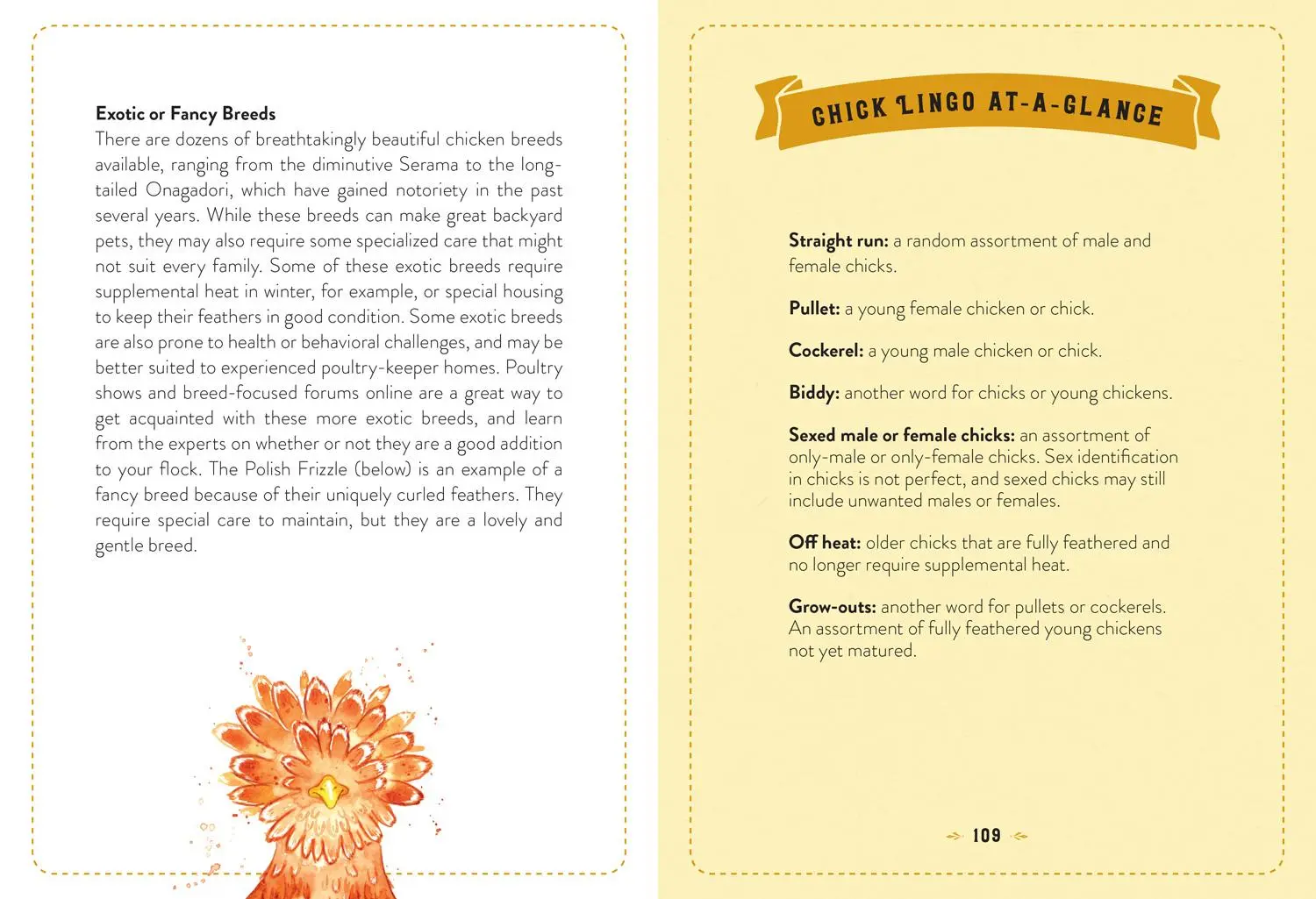 Bild: 9780008753436 | The Little Book of Chickens | Jessica Ford | Buch | Englisch | 2025