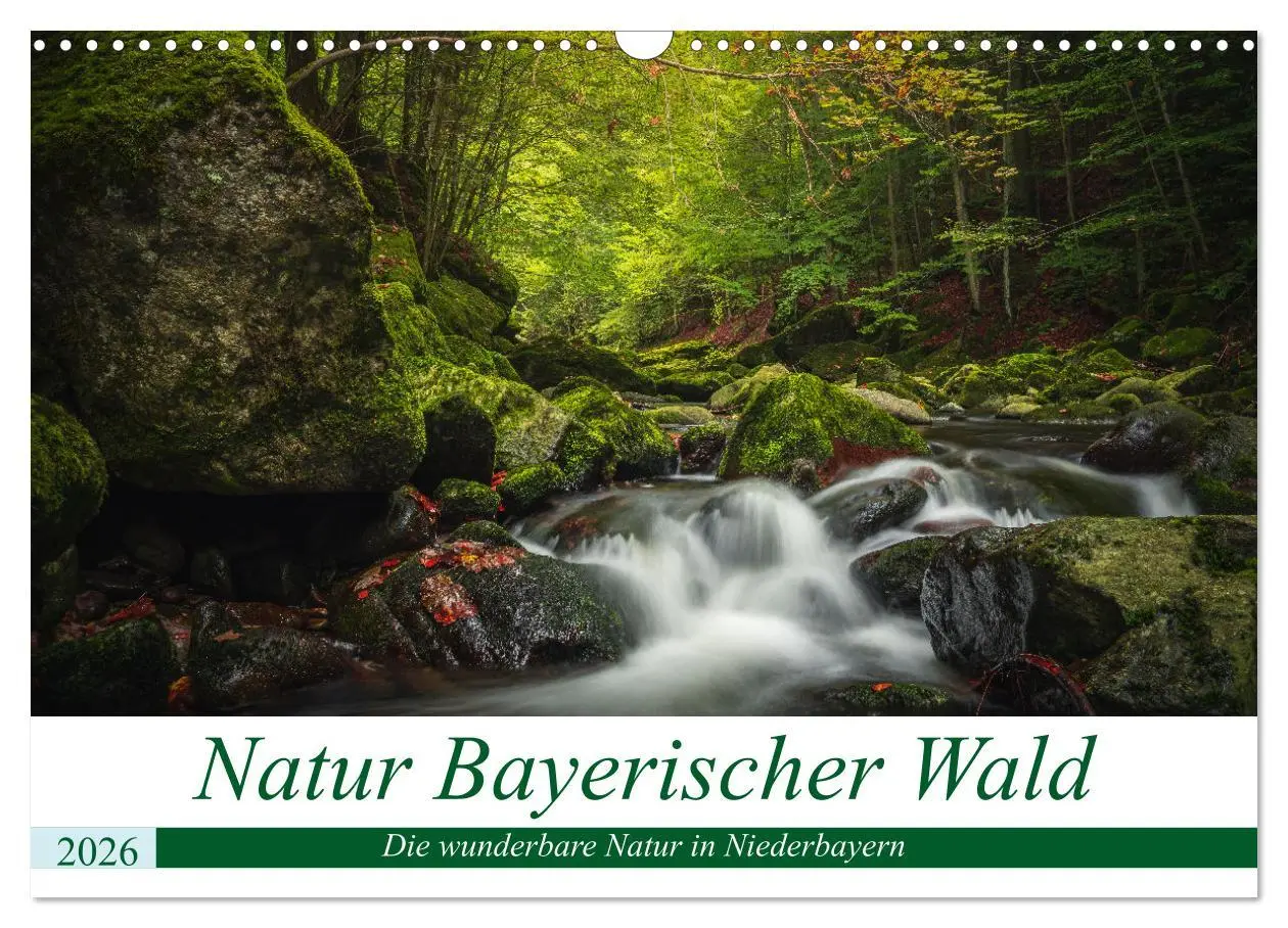 Cover: 9783457613436 | Natur Bayerischer Wald (Wandkalender 2026 DIN A3 quer), CALVENDO...