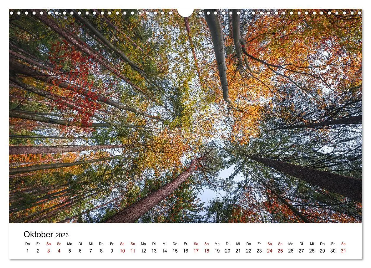 Bild: 9783457613436 | Natur Bayerischer Wald (Wandkalender 2026 DIN A3 quer), CALVENDO...