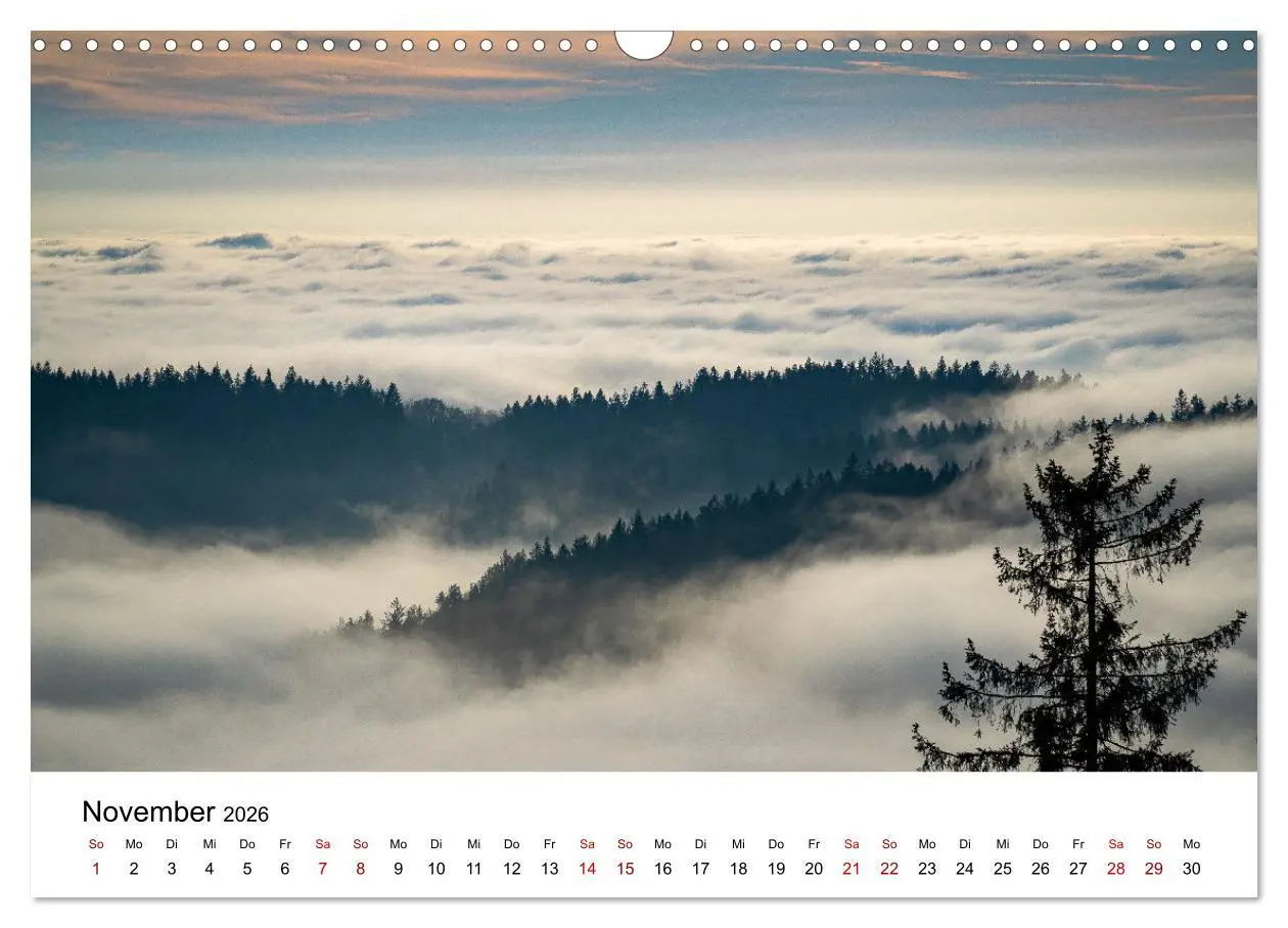 Bild: 9783457613436 | Natur Bayerischer Wald (Wandkalender 2026 DIN A3 quer), CALVENDO...