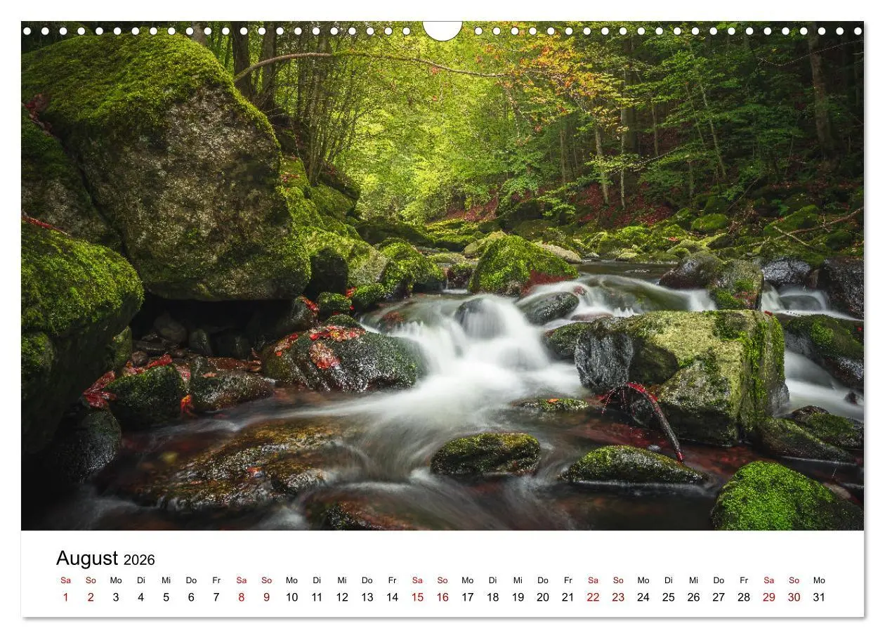 Bild: 9783457613436 | Natur Bayerischer Wald (Wandkalender 2026 DIN A3 quer), CALVENDO...