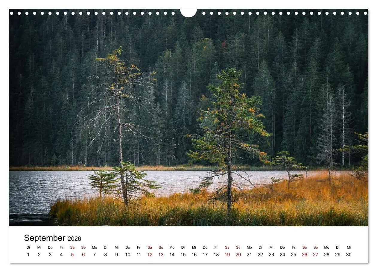 Bild: 9783457613436 | Natur Bayerischer Wald (Wandkalender 2026 DIN A3 quer), CALVENDO...