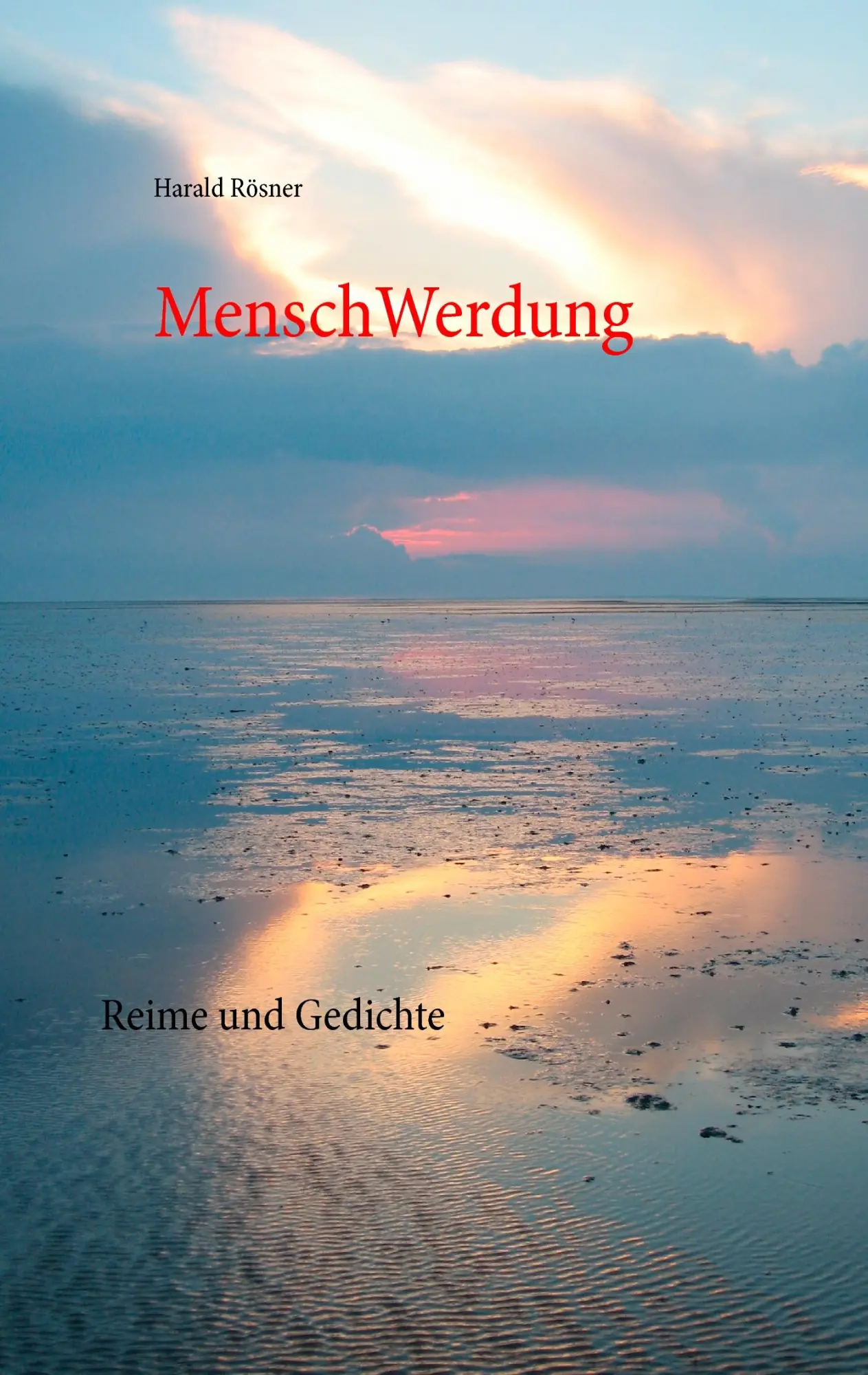Cover: 9783734743436 | MenschWerdung | Reime und Gedichte | Harald Rösner | Taschenbuch