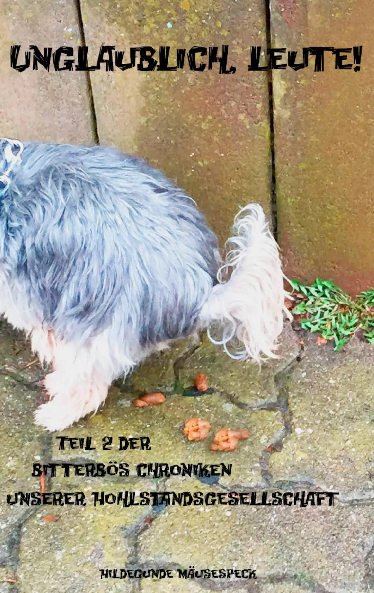 Cover: 9783741293436 | Unglaublich, Leute! | Hildegunde Mäusespeck | Taschenbuch | 160 S.
