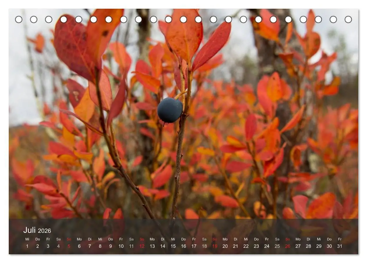 Bild: 9783516173536 | Lappland 2026 (Tischkalender 2026 DIN A5 quer), CALVENDO...