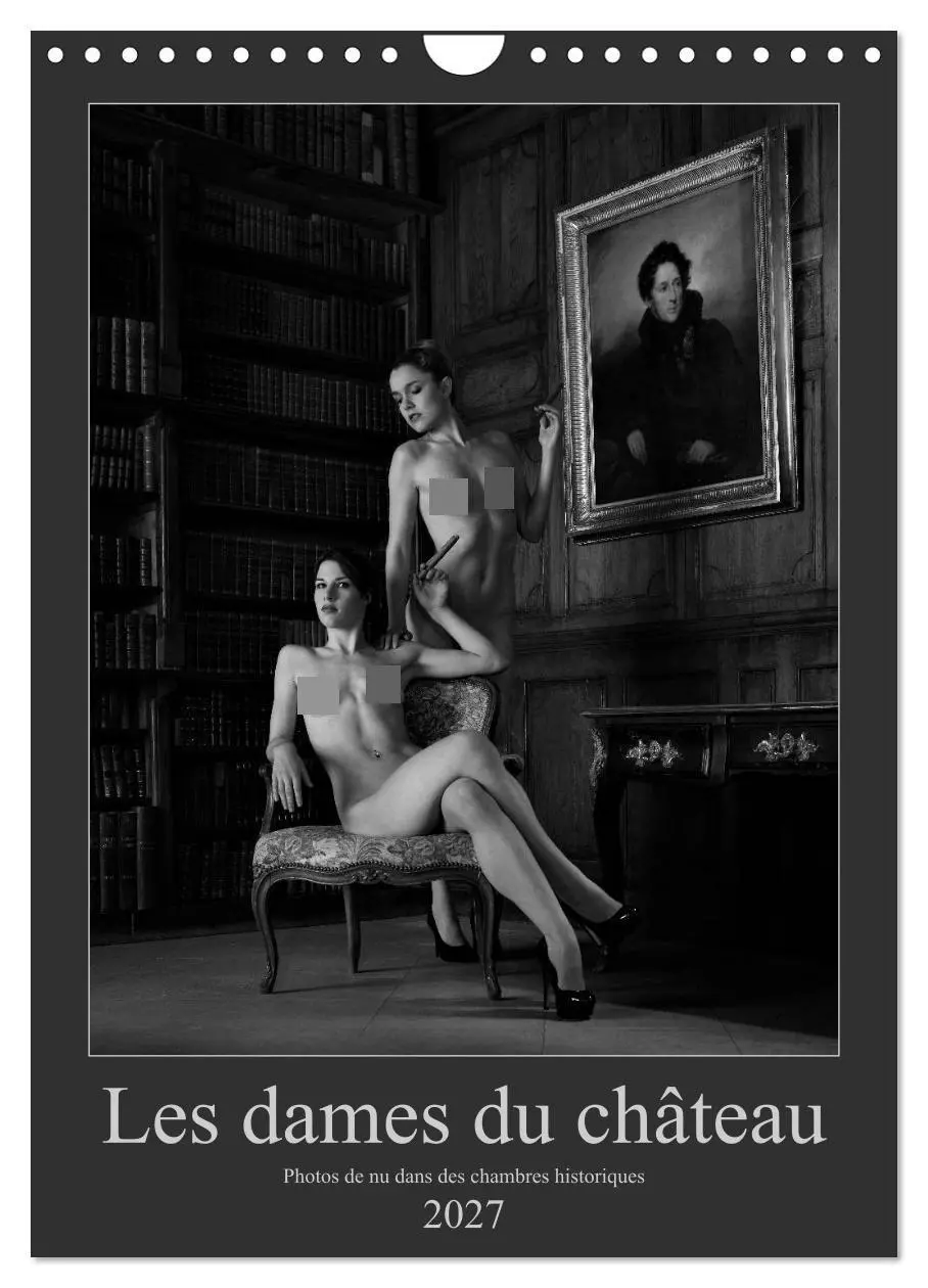 Cover: 9783569713536 | Les dames du château (Calendrier mural 2027 DIN A4 horizontal),...