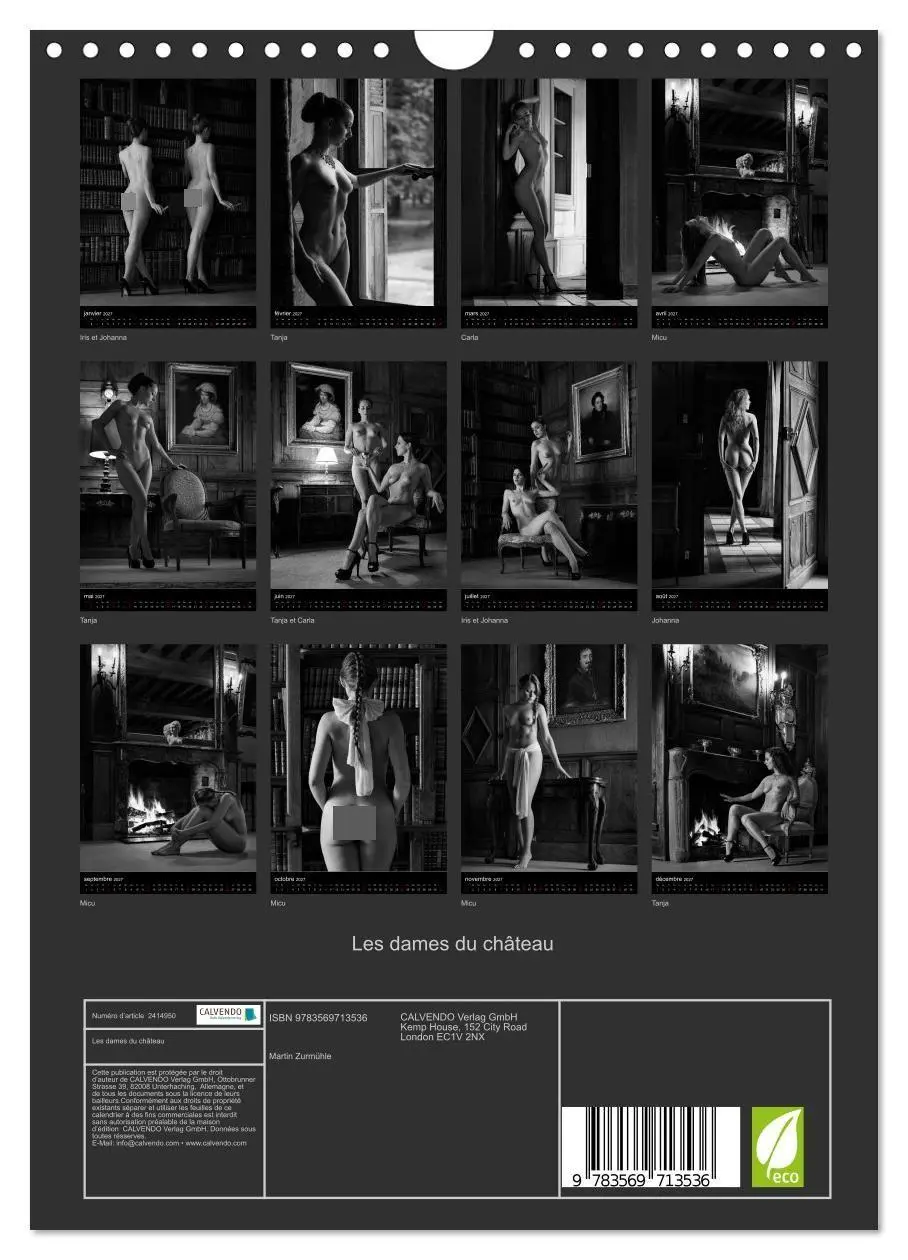 Bild: 9783569713536 | Les dames du château (Calendrier mural 2027 DIN A4 horizontal),...