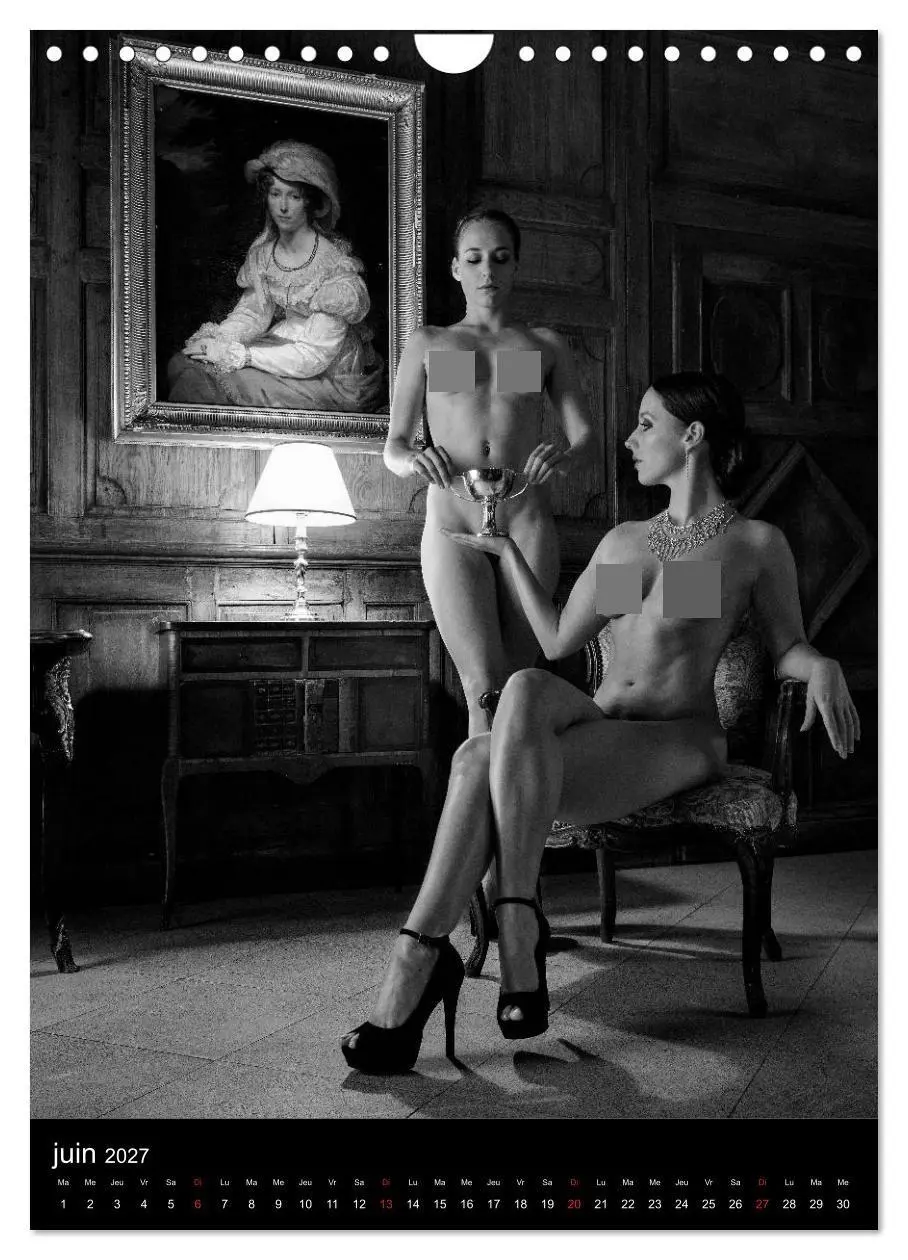 Bild: 9783569713536 | Les dames du château (Calendrier mural 2027 DIN A4 horizontal),...