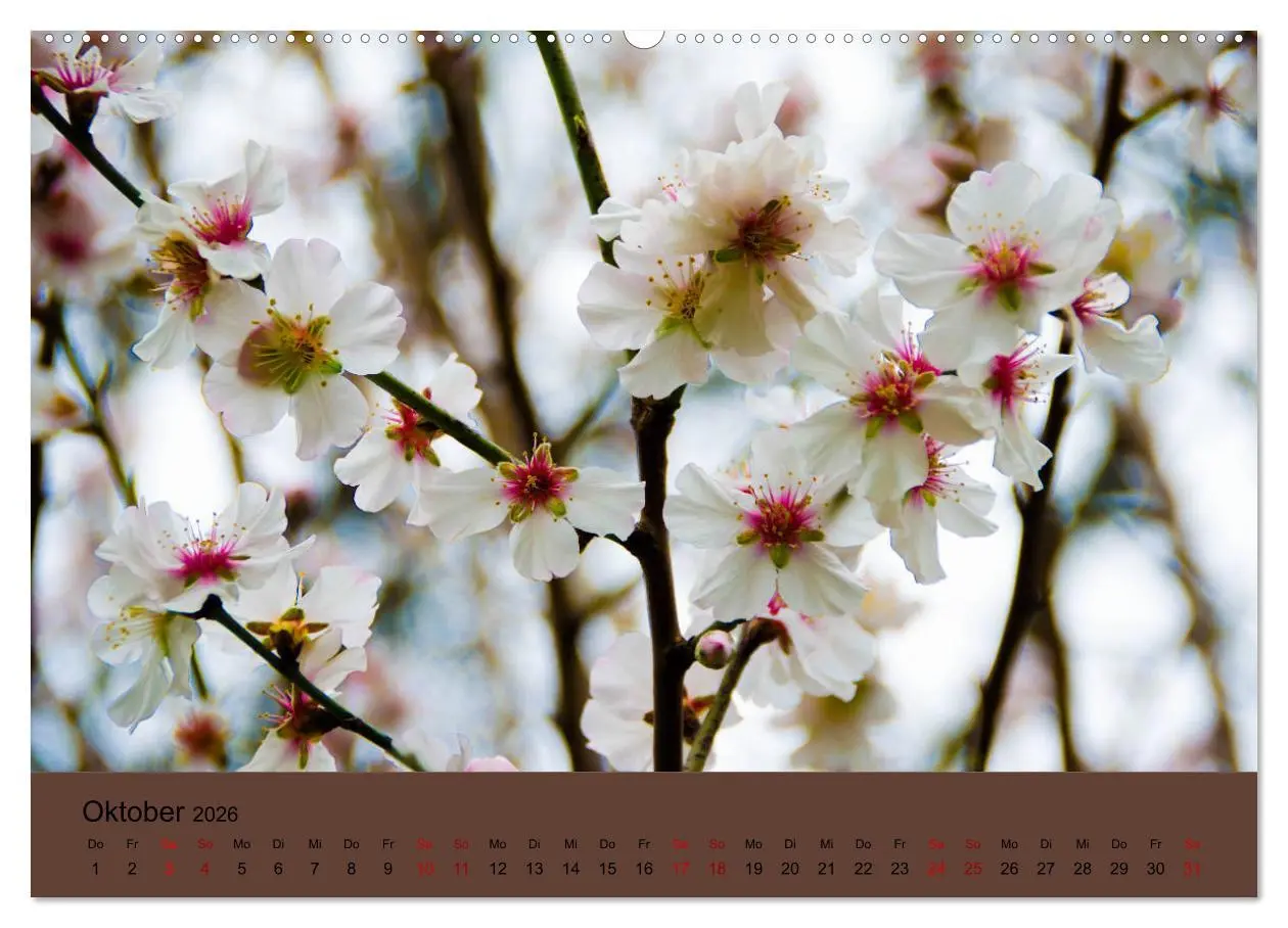 Bild: 9783457833636 | Kurpark Baden-Baden (Wandkalender 2026 DIN A2 quer), CALVENDO...