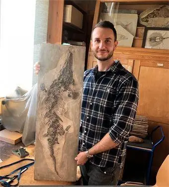 Bild: 9783831053636 | Wundervolle Welt - Kleine Schätze. Fossilien | Dean Lomax | Buch