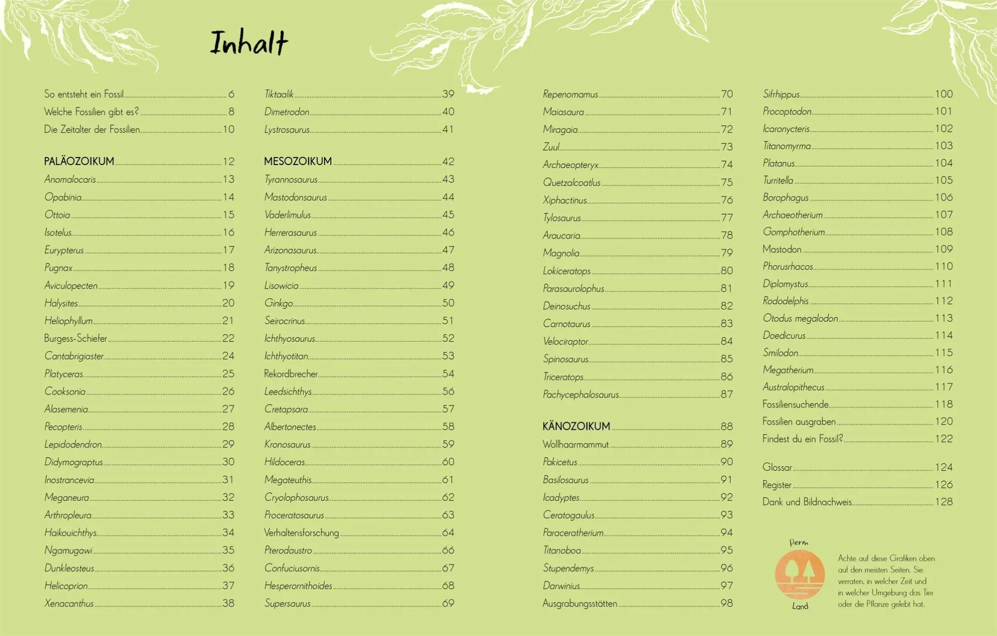 Bild: 9783831053636 | Wundervolle Welt - Kleine Schätze. Fossilien | Dean Lomax | Buch