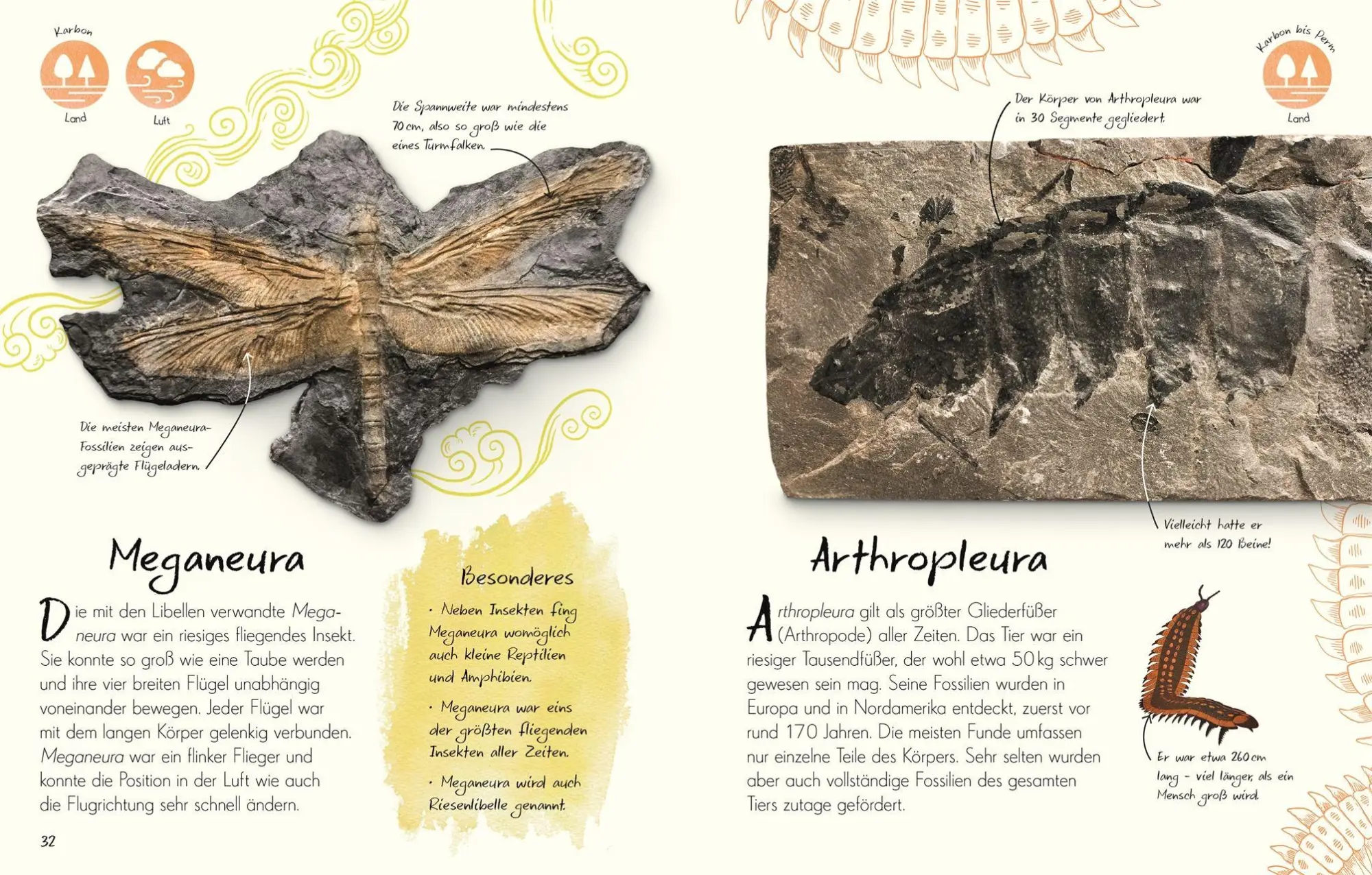 Bild: 9783831053636 | Wundervolle Welt - Kleine Schätze. Fossilien | Dean Lomax | Buch