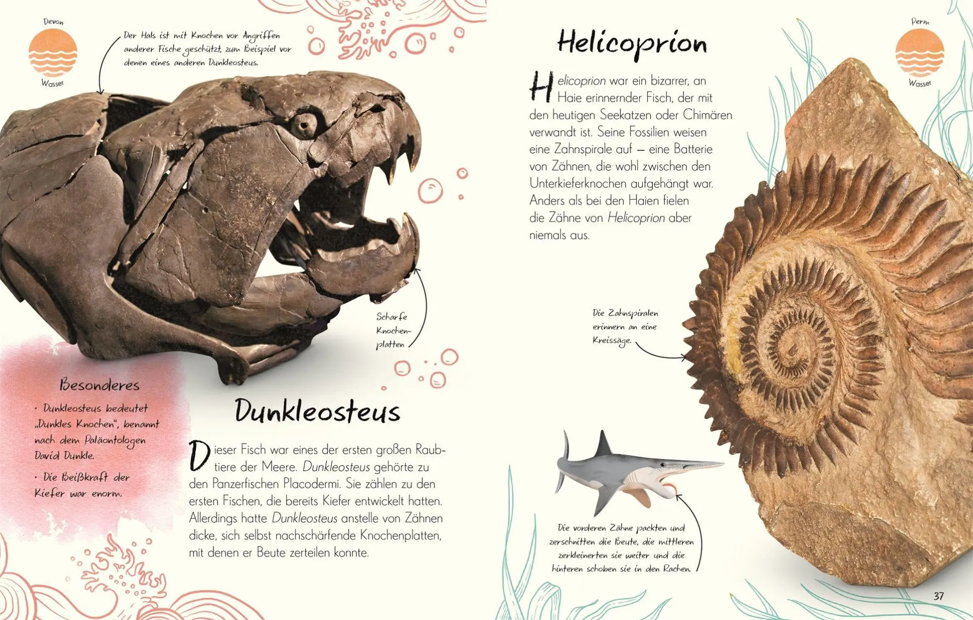 Bild: 9783831053636 | Wundervolle Welt - Kleine Schätze. Fossilien | Dean Lomax | Buch