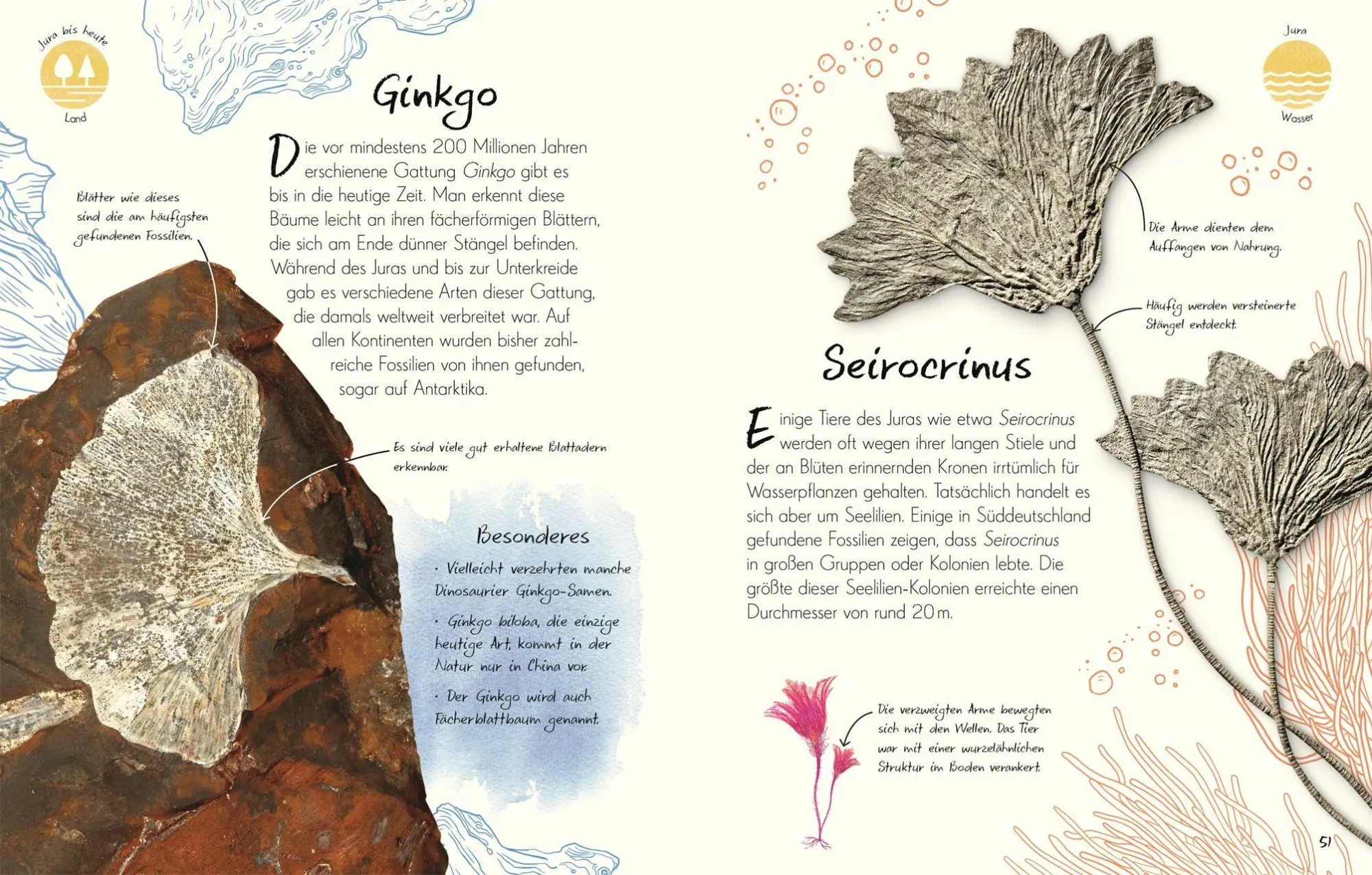 Bild: 9783831053636 | Wundervolle Welt - Kleine Schätze. Fossilien | Dean Lomax | Buch