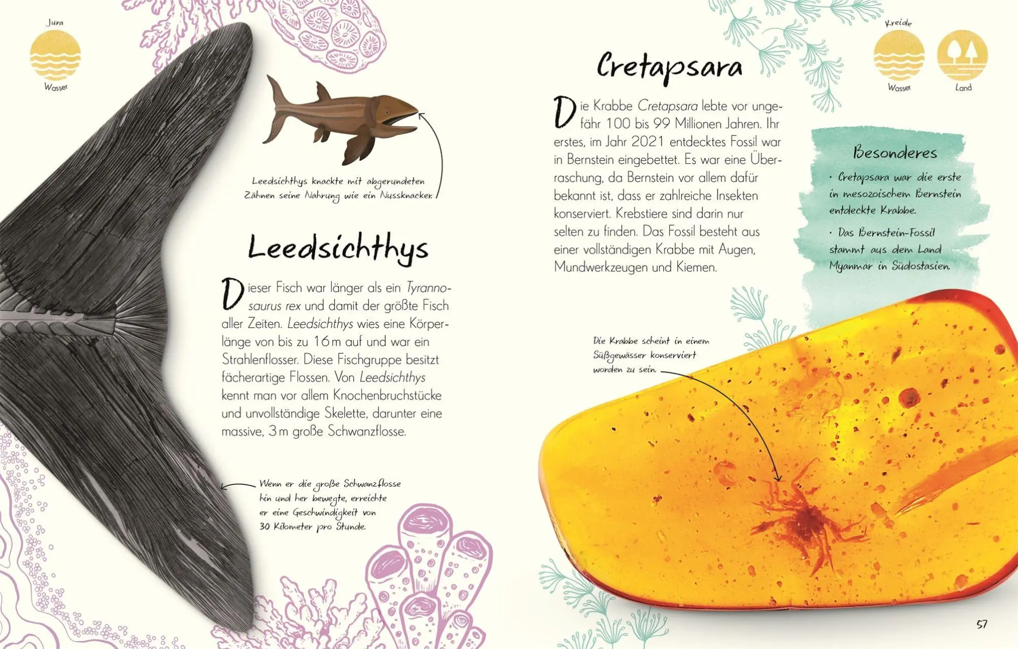 Bild: 9783831053636 | Wundervolle Welt - Kleine Schätze. Fossilien | Dean Lomax | Buch