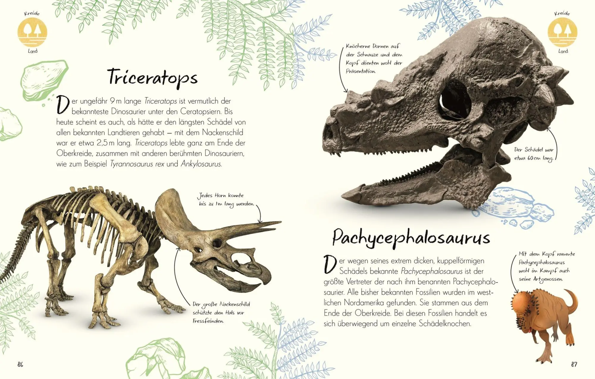 Bild: 9783831053636 | Wundervolle Welt - Kleine Schätze. Fossilien | Dean Lomax | Buch