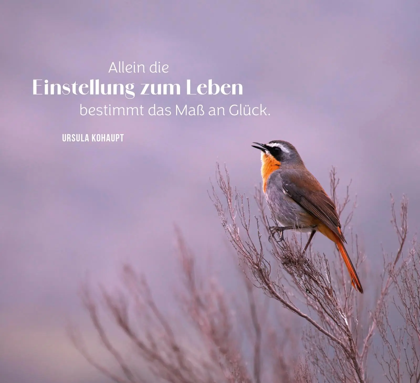Bild: 9783848503636 | Achtsamkeit für jeden Tag | Groh Verlag | Taschenbuch | 144 S. | 2025