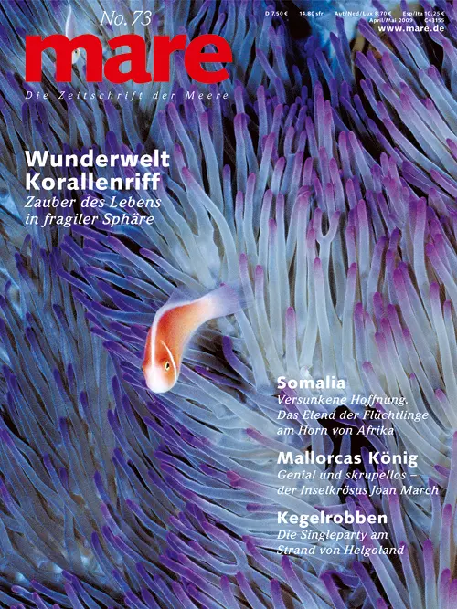 Cover: 9783936543636 | mare - Die Zeitschrift der Meere / No. 73 / Riff | Nikolaus Gelpke
