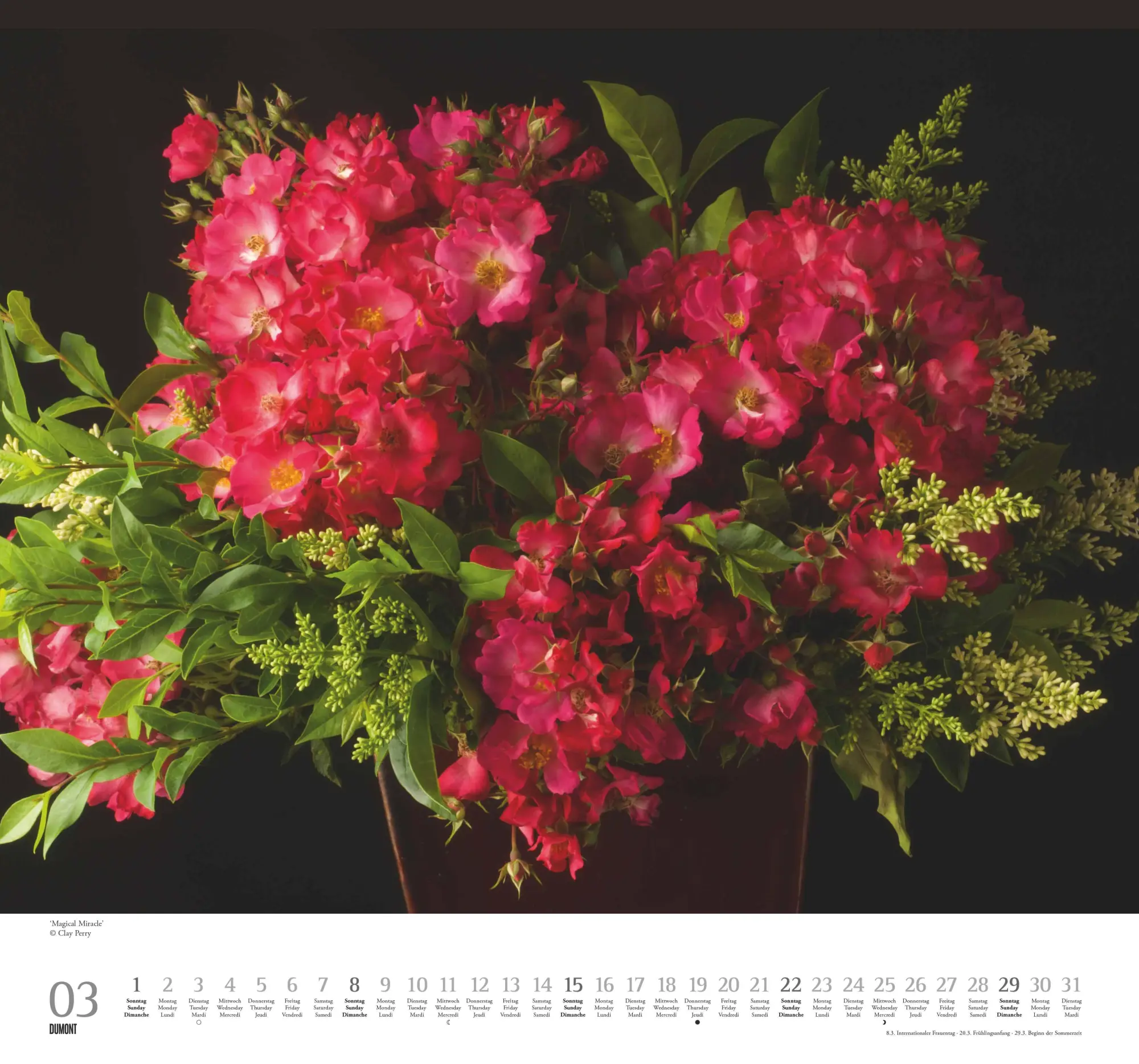 Bild: 4069095003736 | Geliebte Rosen 2026 - DUMONT Wandkalender - mit allen wichtigen...