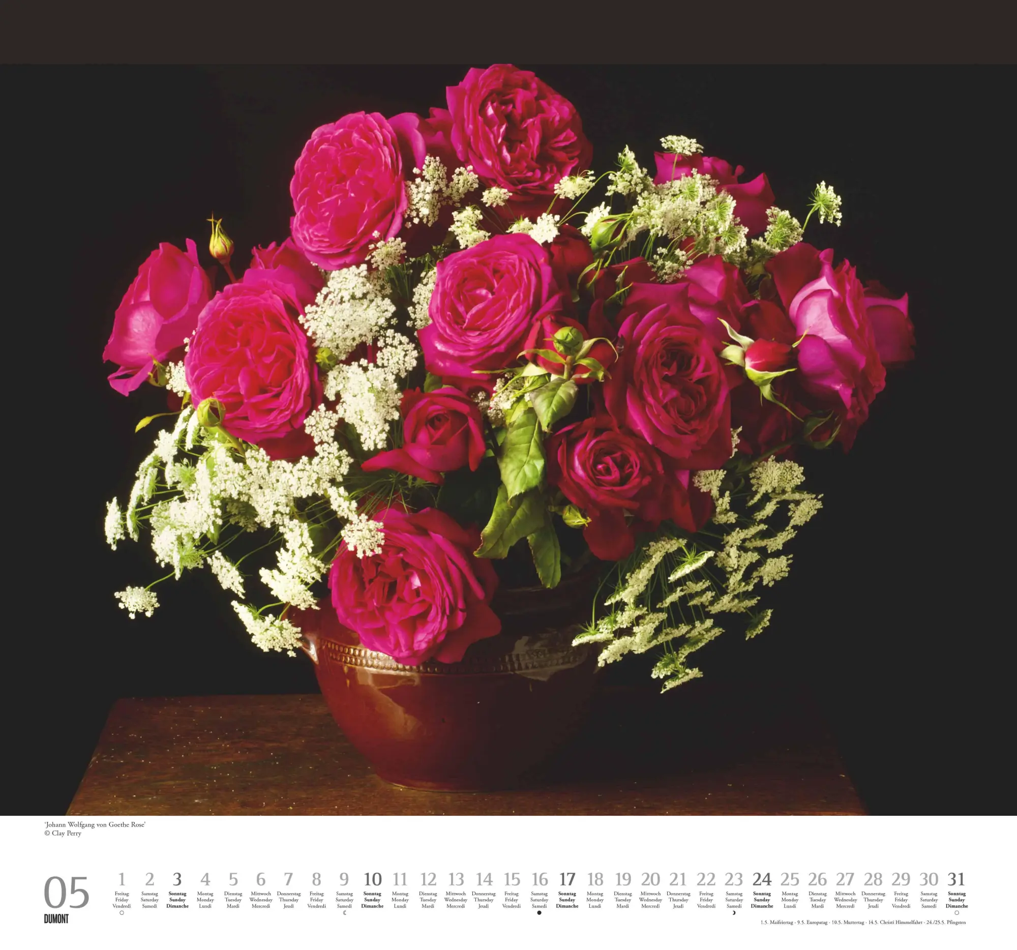 Bild: 4069095003736 | Geliebte Rosen 2026 - DUMONT Wandkalender - mit allen wichtigen...
