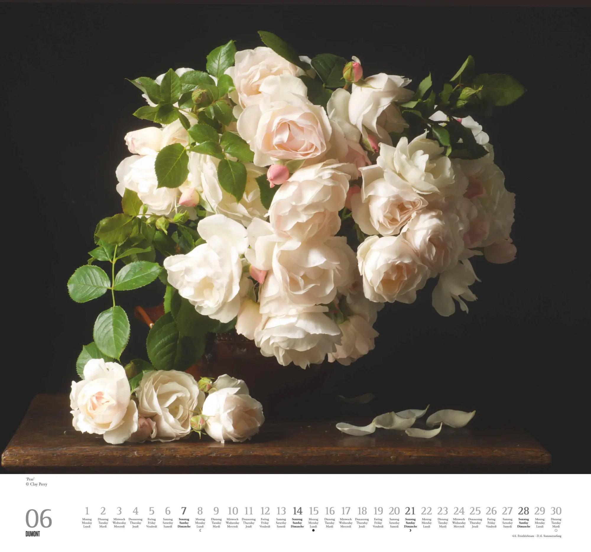 Bild: 4069095003736 | Geliebte Rosen 2026 - DUMONT Wandkalender - mit allen wichtigen...