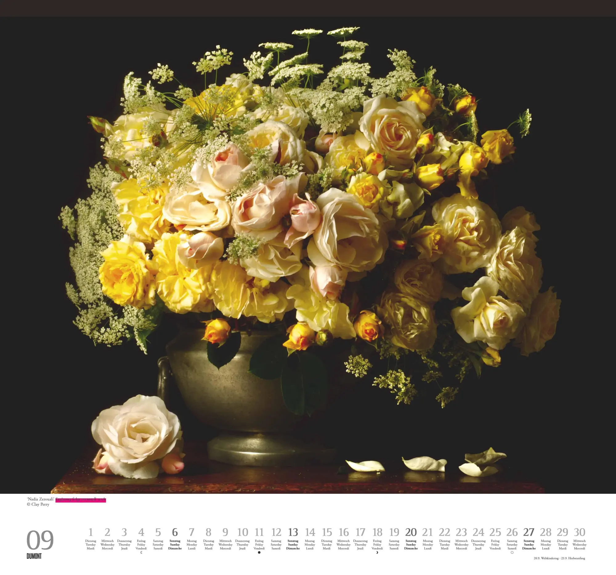 Bild: 4069095003736 | Geliebte Rosen 2026 - DUMONT Wandkalender - mit allen wichtigen...