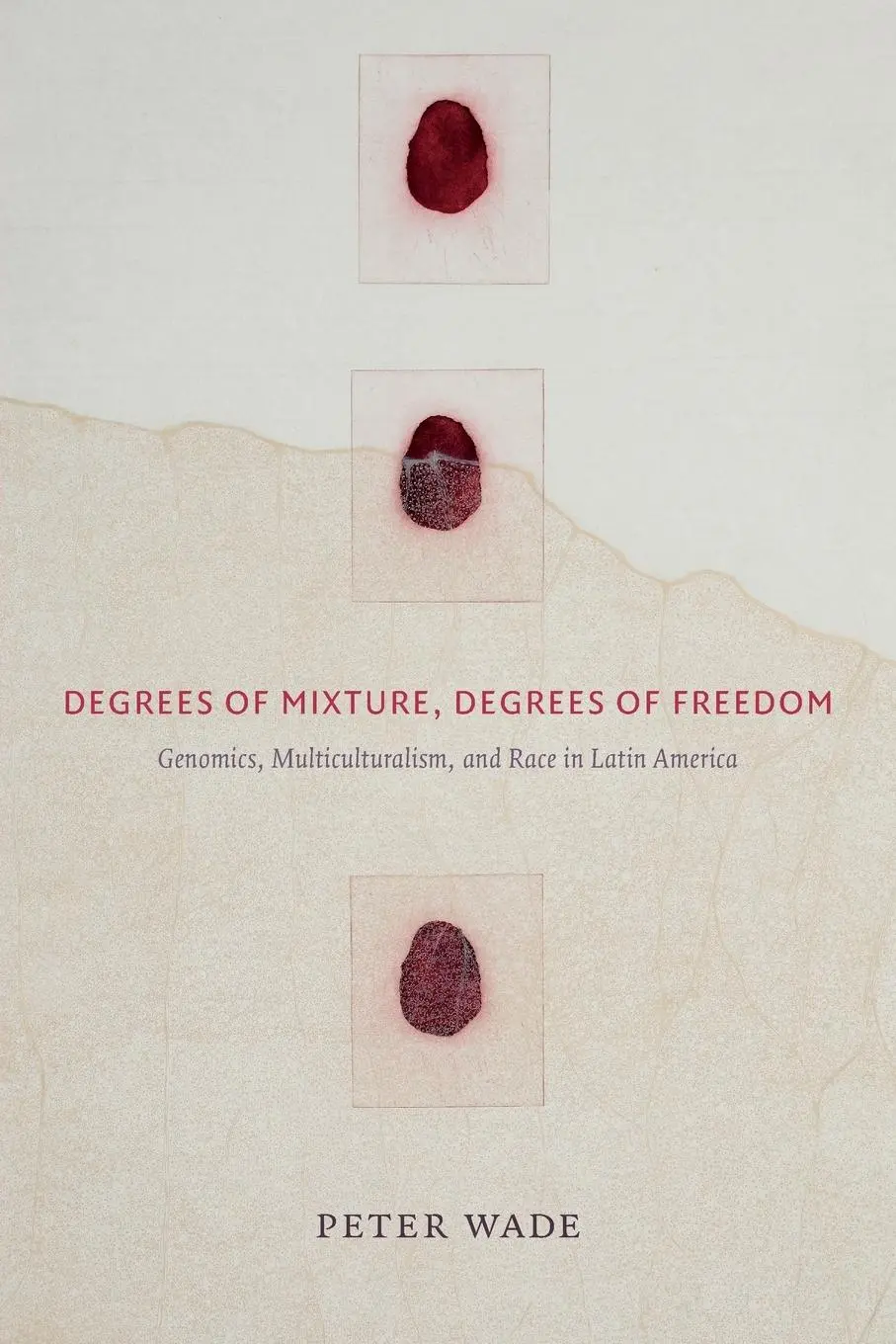 Cover: 9780822363736 | Degrees of Mixture, Degrees of Freedom | Peter Wade | Taschenbuch