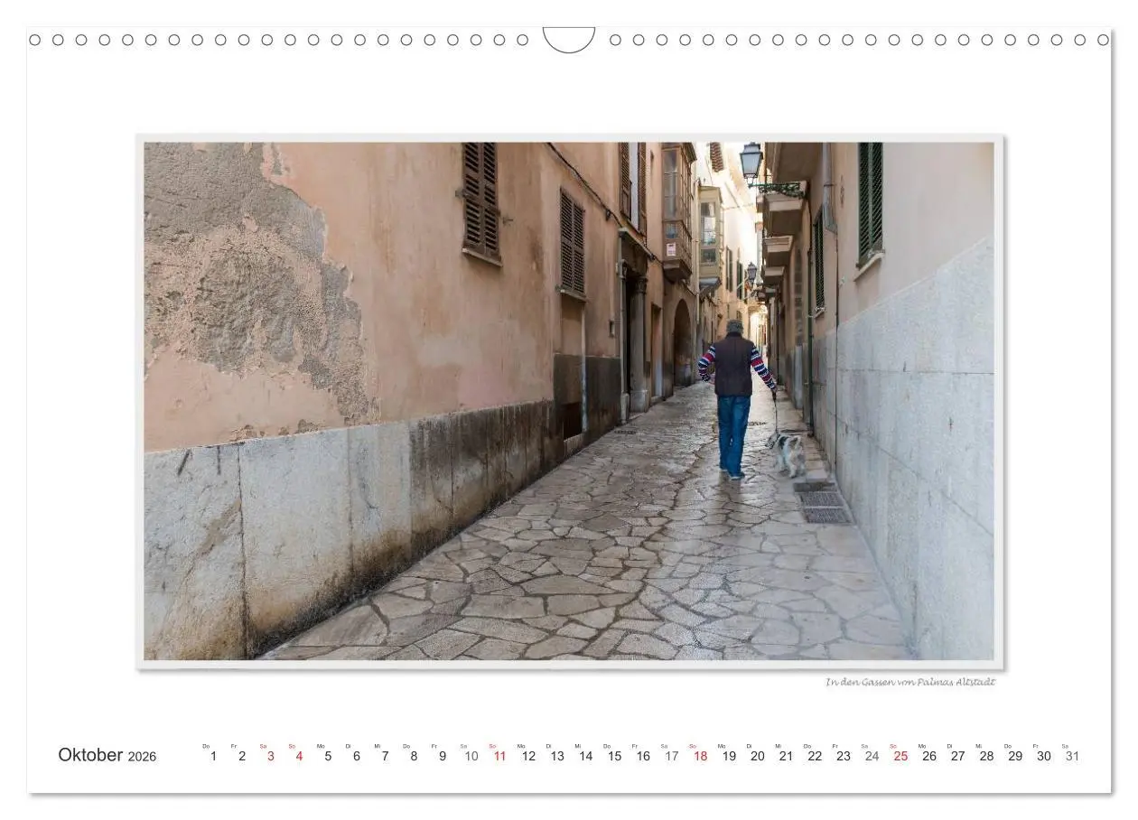 Bild: 9783516203936 | Emotionale Momente: Palma de Mallorca (Wandkalender 2026 DIN A3...