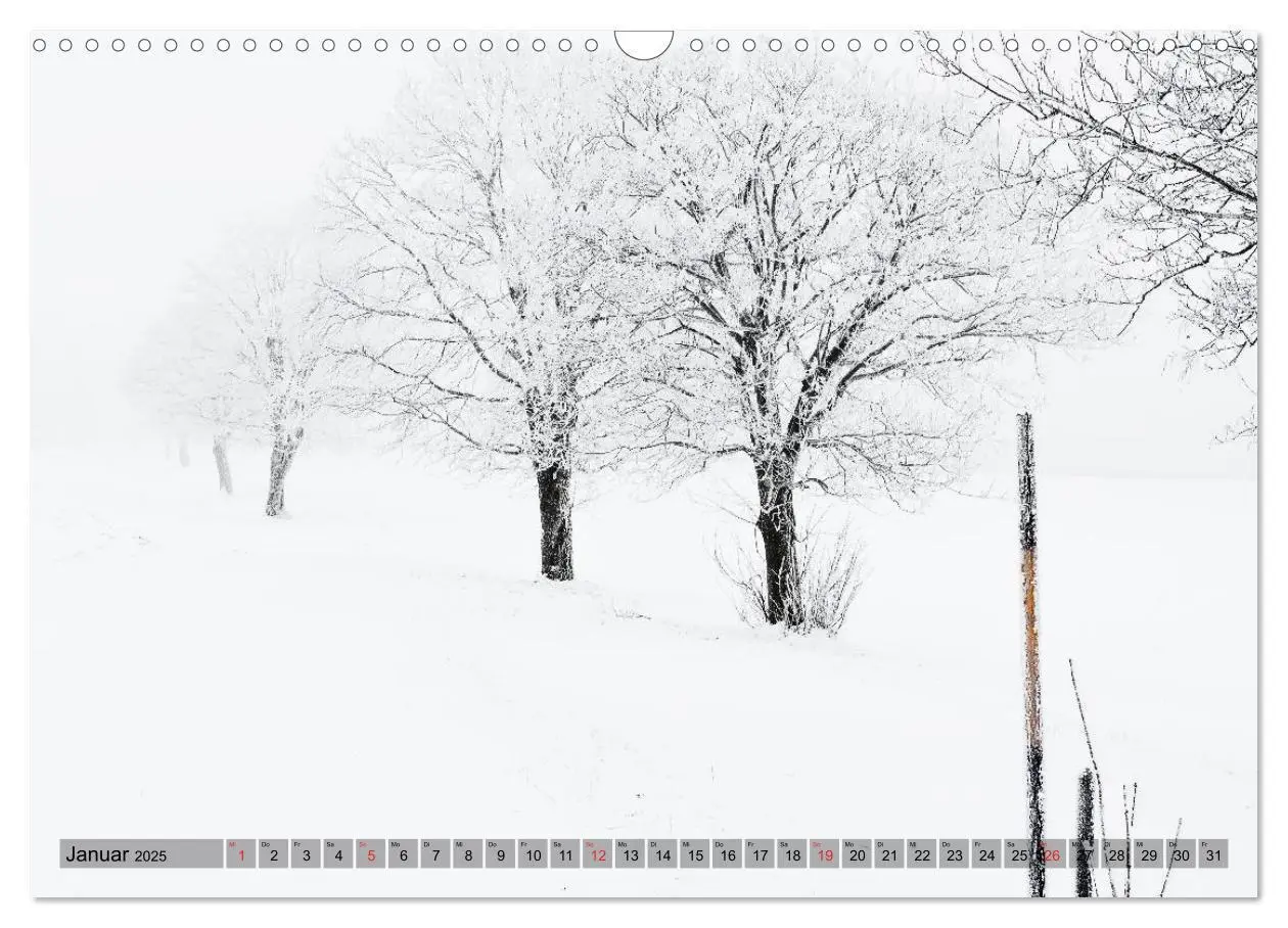 Bild: 9783435604036 | Franken WildRomantisch (Wandkalender 2025 DIN A3 quer), CALVENDO...