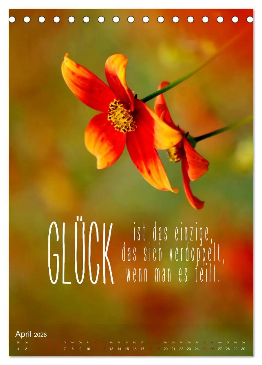 Bild: 9783516264036 | ICH WÜNSCHE DIR GLÜCK - 12 Monate mit inspirierenden Glückszitaten...