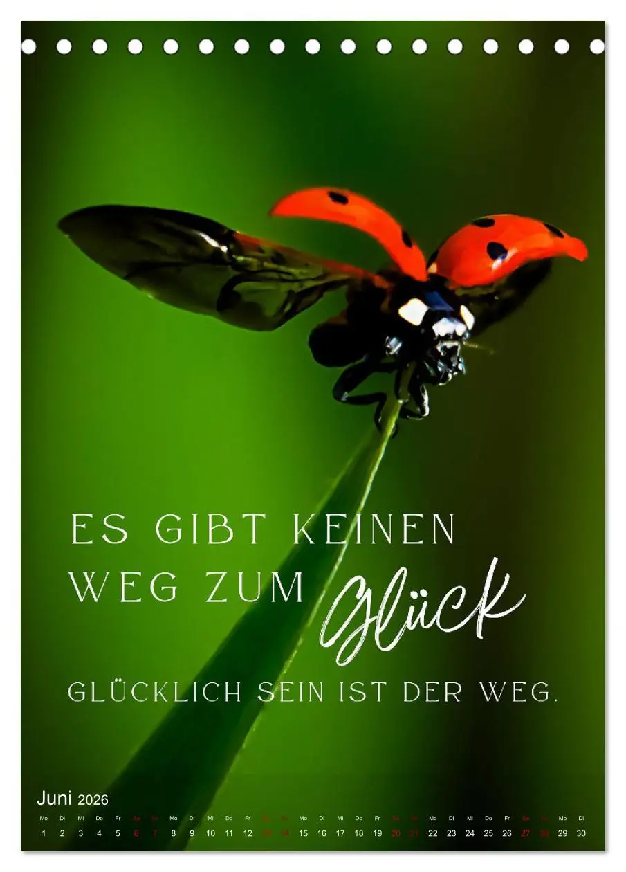 Bild: 9783516264036 | ICH WÜNSCHE DIR GLÜCK - 12 Monate mit inspirierenden Glückszitaten...