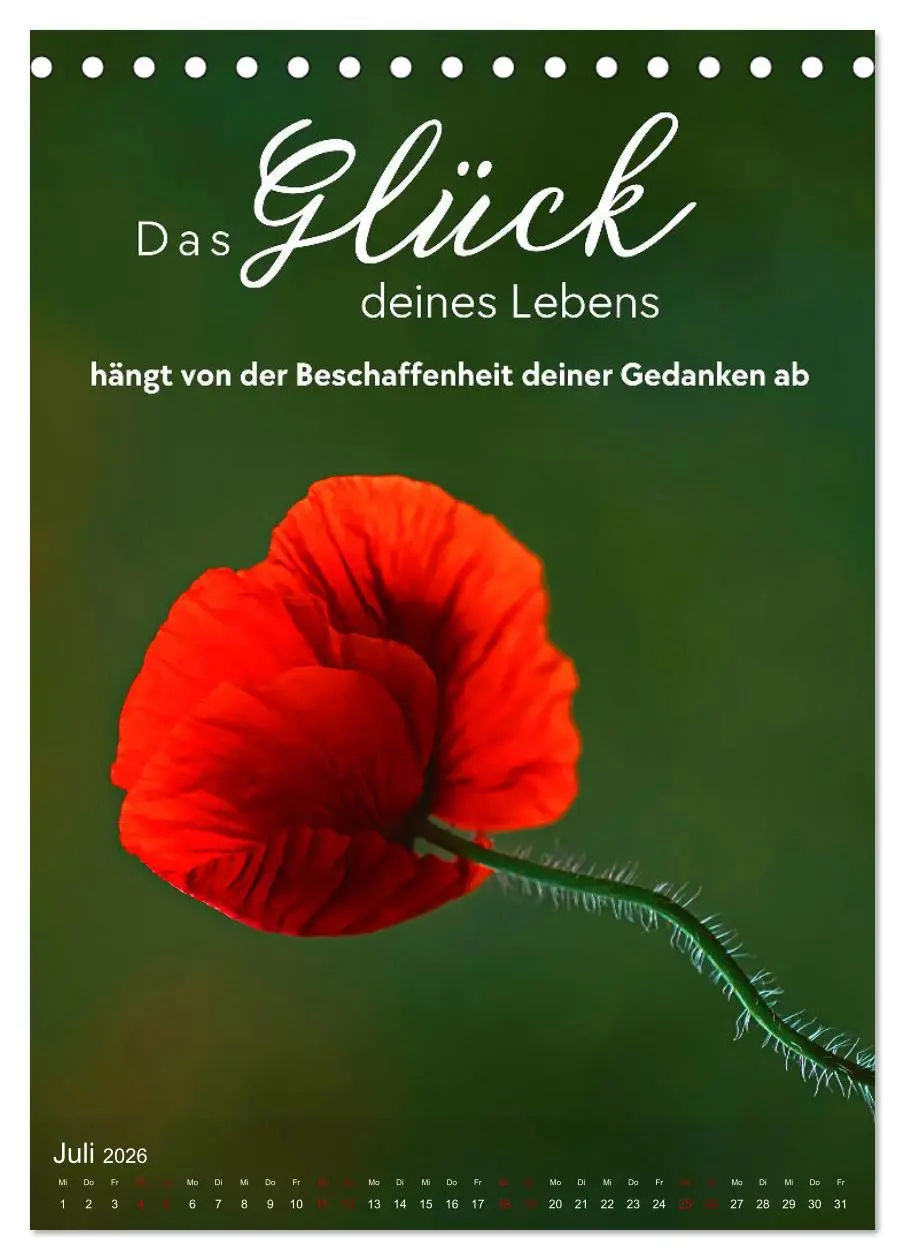 Bild: 9783516264036 | ICH WÜNSCHE DIR GLÜCK - 12 Monate mit inspirierenden Glückszitaten...