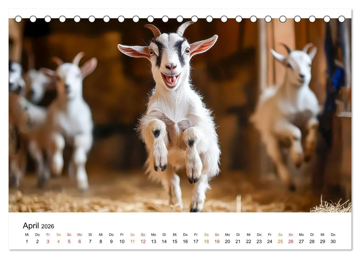 Bild: 9783457304136 | Ziegen - Bocksprung durch das Jahr (Tischkalender 2026 DIN A5...