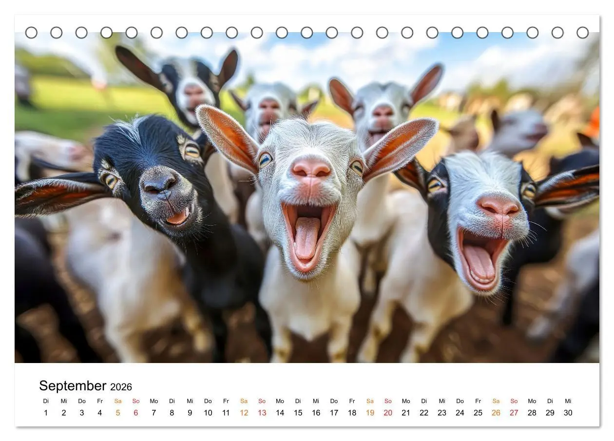 Bild: 9783457304136 | Ziegen - Bocksprung durch das Jahr (Tischkalender 2026 DIN A5...