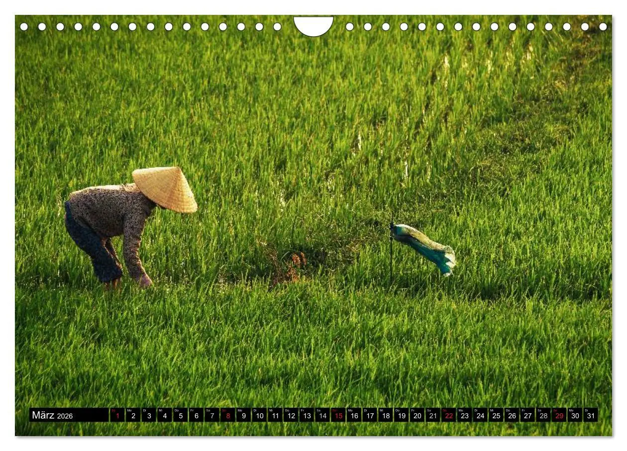 Bild: 9783516014136 | VIETNAM - Von Saigon nach Hanoi (Wandkalender 2026 DIN A4 quer),...