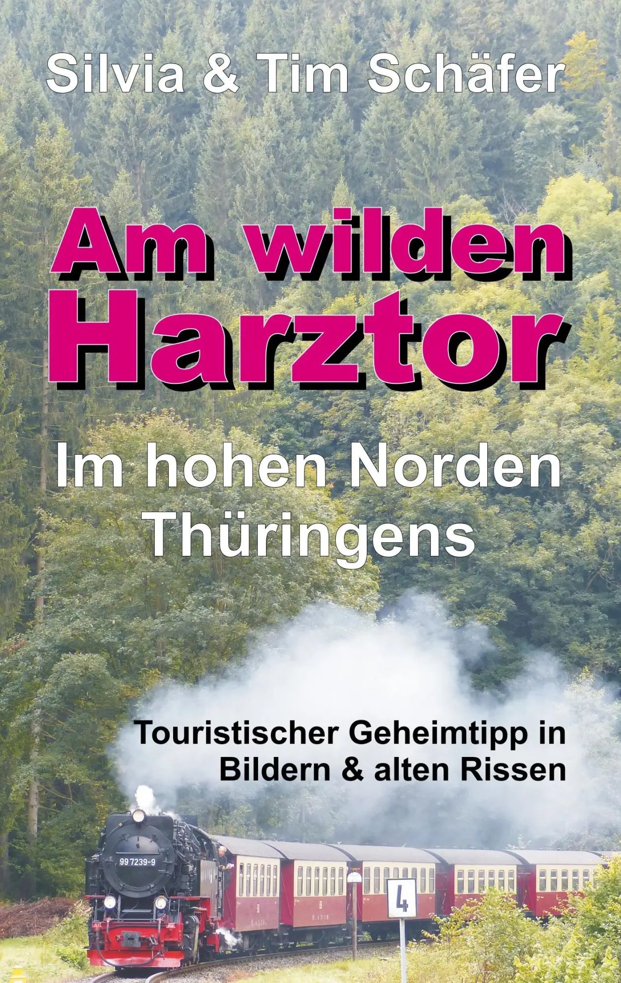Cover: 9783743964136 | Am wilden Harztor: Im hohen Norden Thüringens | Silvia &amp; Tim Schäfer