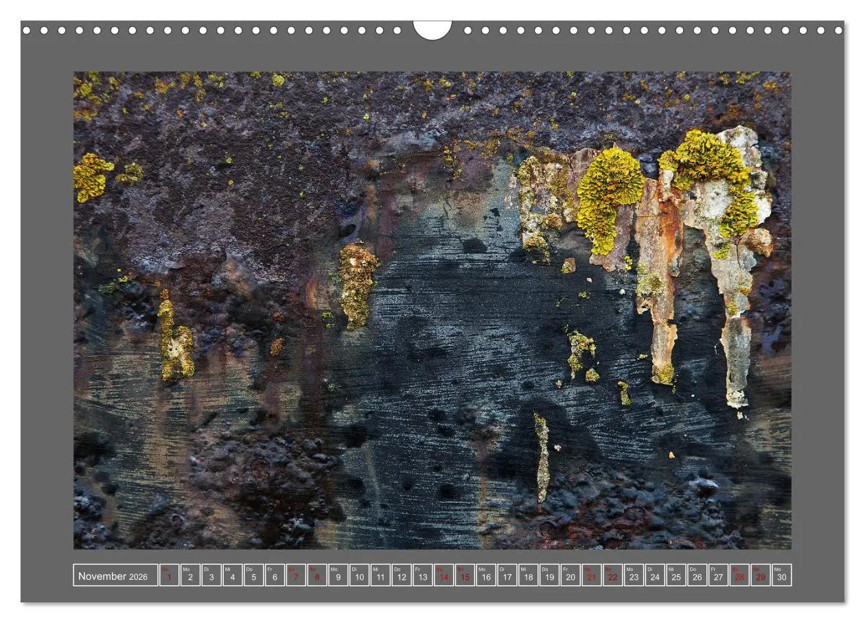 Bild: 9783457914236 | Rost - Ästhetik der Vergänglichkeit (Wandkalender 2026 DIN A3...
