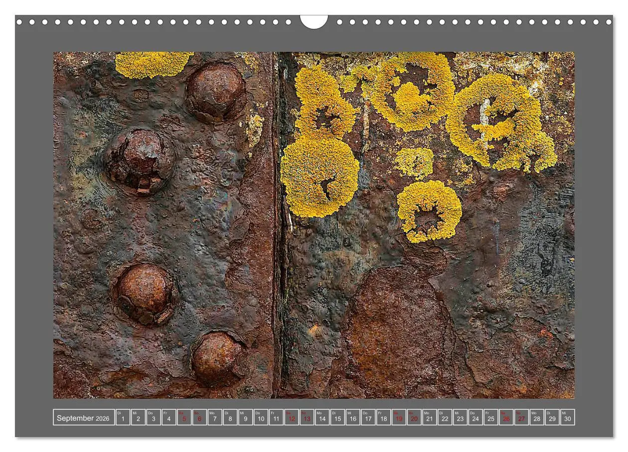Bild: 9783457914236 | Rost - Ästhetik der Vergänglichkeit (Wandkalender 2026 DIN A3...