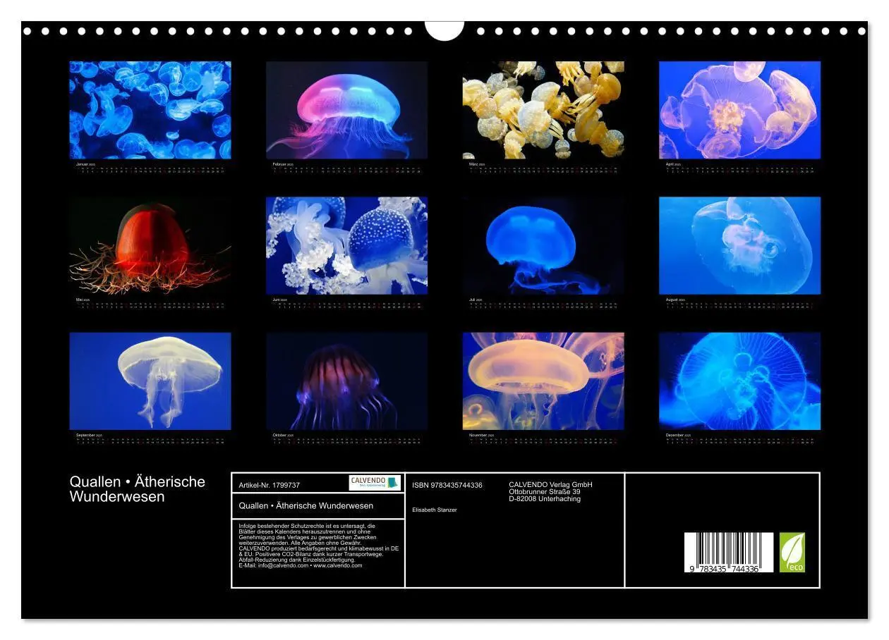 Bild: 9783435744336 | Quallen - Ätherische Wunderwesen (Wandkalender 2025 DIN A3 quer),...