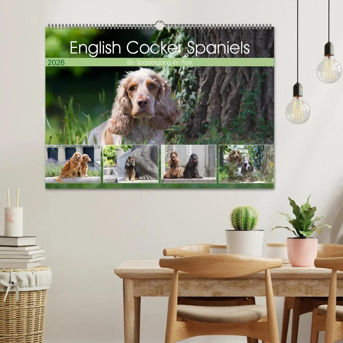 Bild: 9783457904336 | English Cocker Spaniels - Ein Spaziergang im Park (Wandkalender...