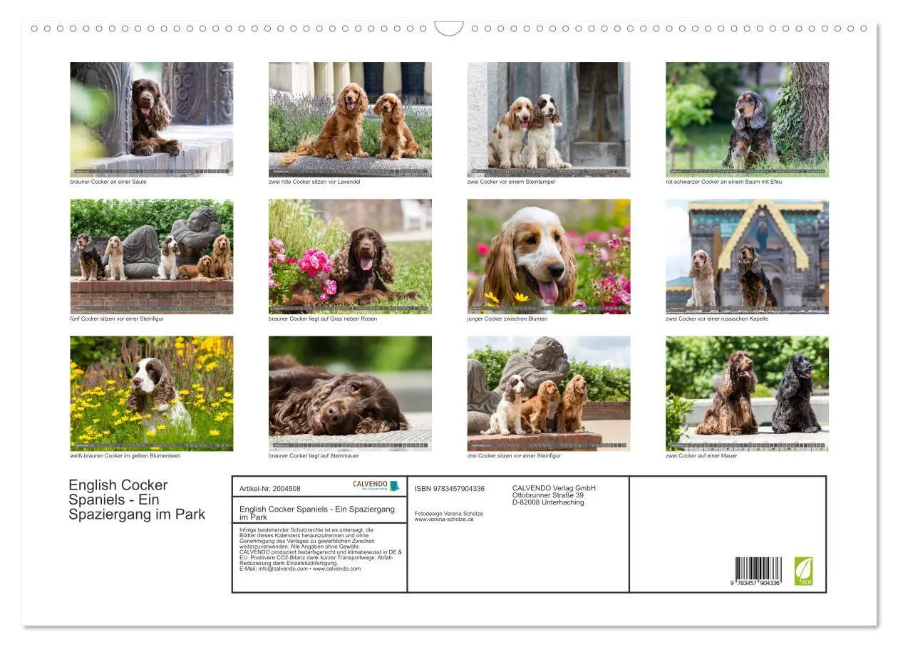 Bild: 9783457904336 | English Cocker Spaniels - Ein Spaziergang im Park (Wandkalender...