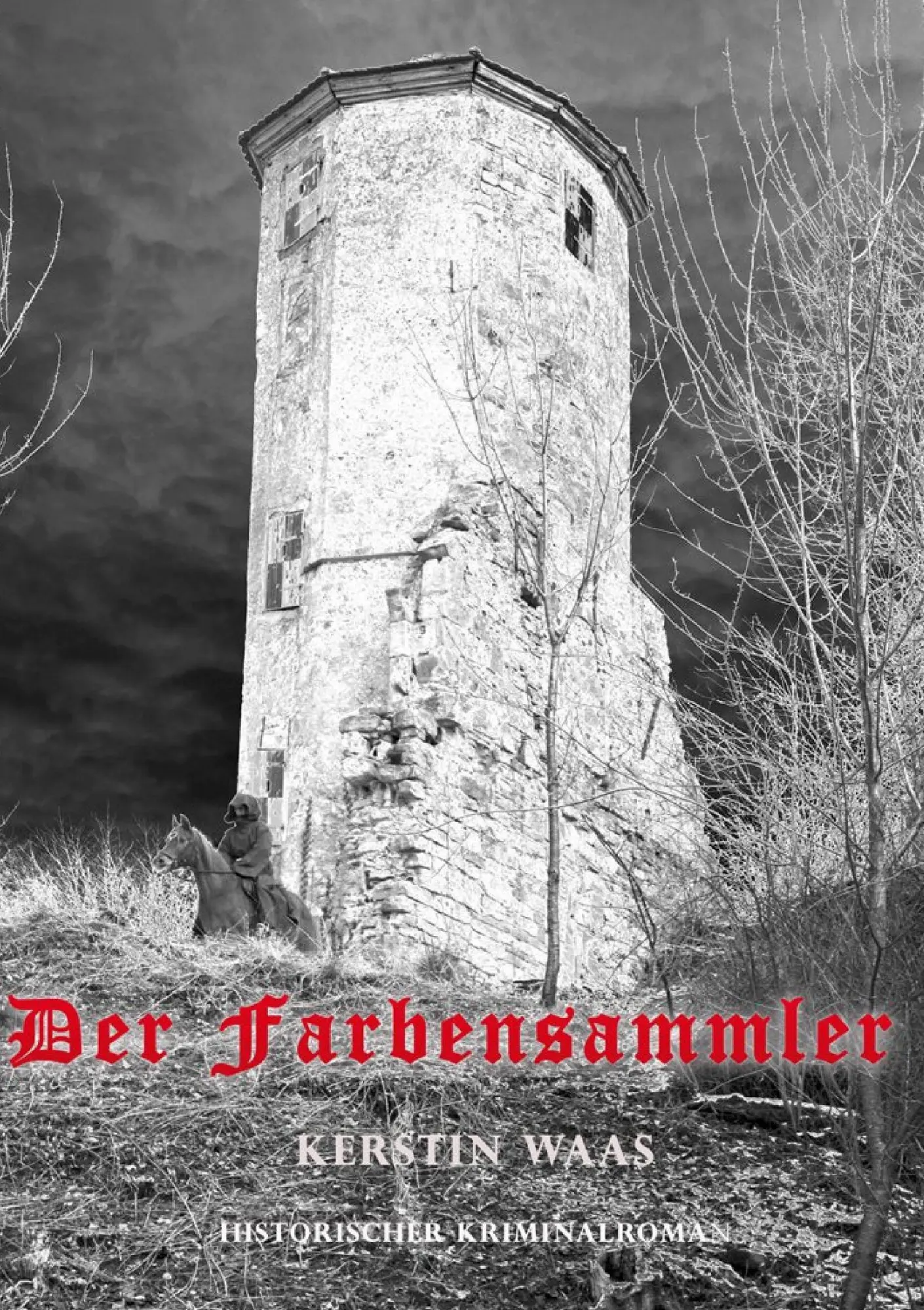 Cover: 9783944464336 | Der Farbensammler | Kerstin Waas | Taschenbuch | 360 S. | Deutsch