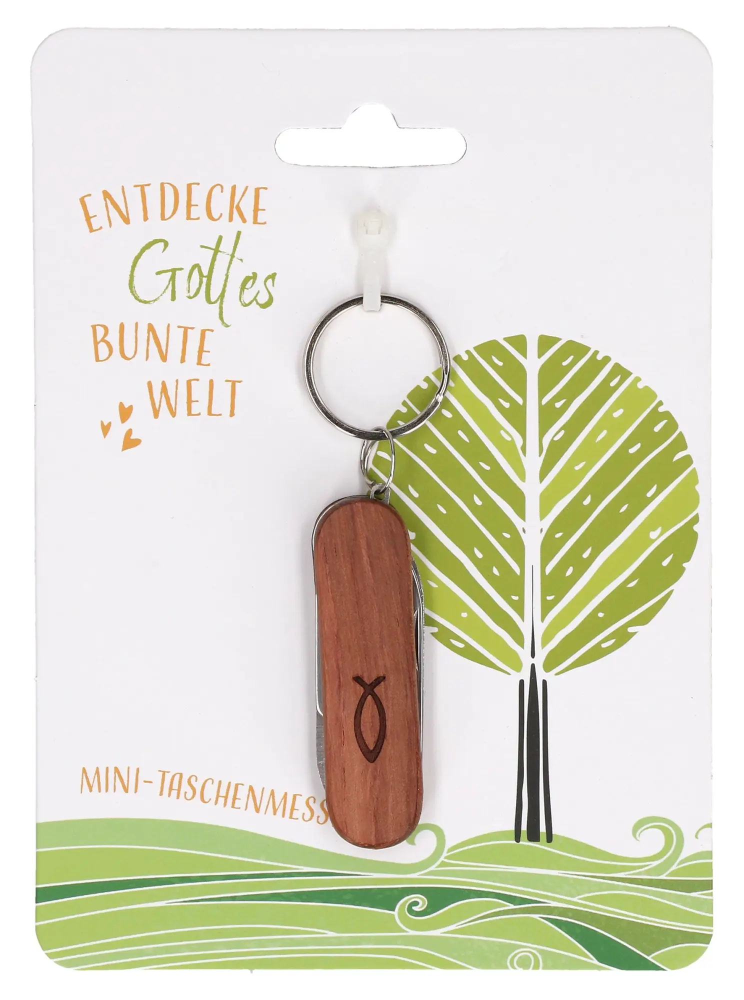 Cover: 4036526764436 | Entdecke Gottes bunte Welt. Mini-Taschenmesser | Deutsch | 2024